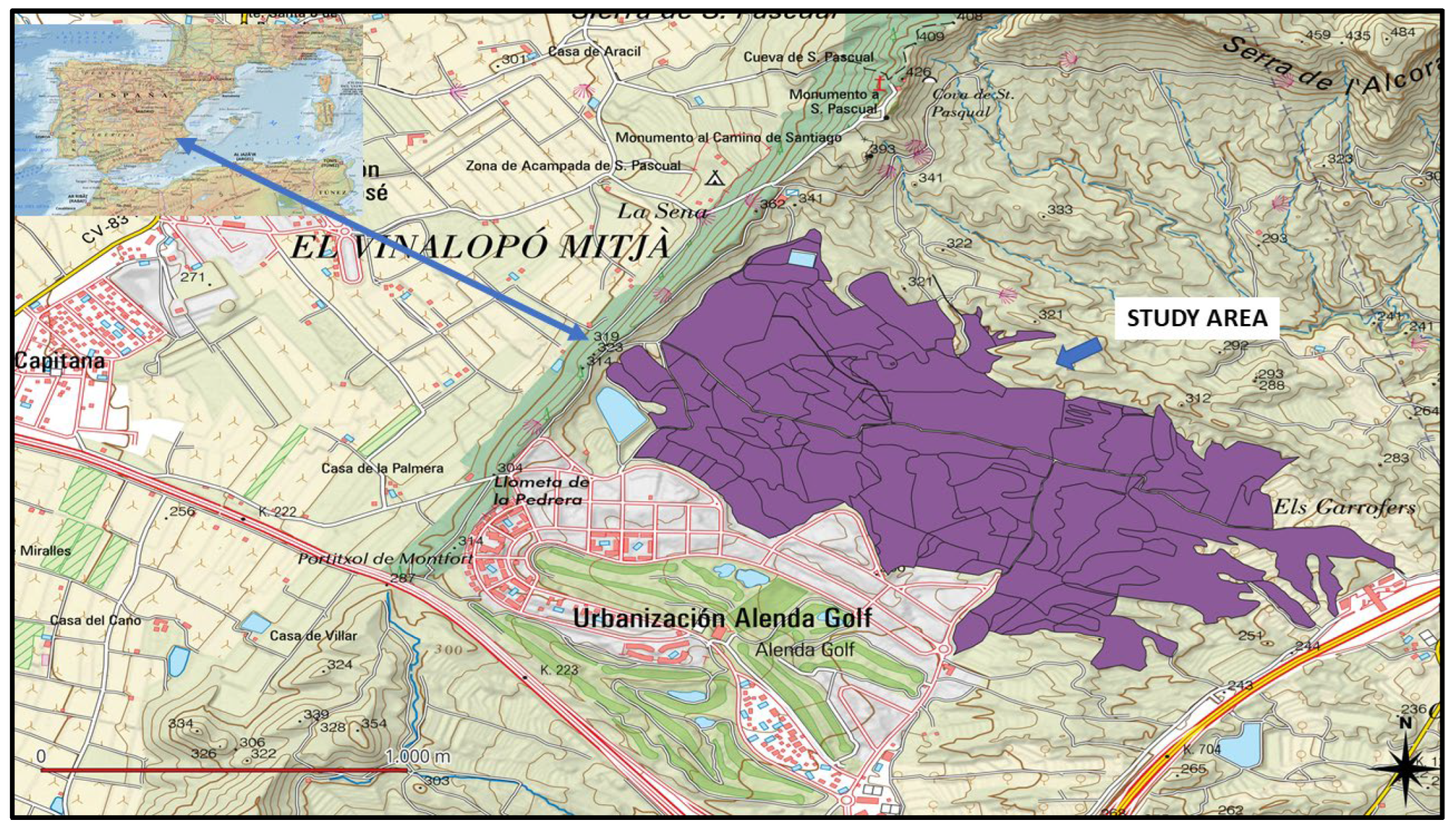 Applsci 14 11775 g001