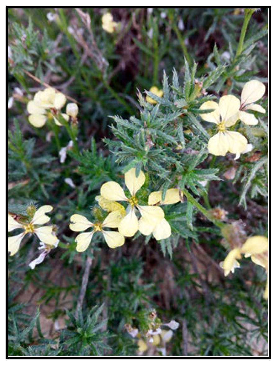 Applsci 14 11775 g004