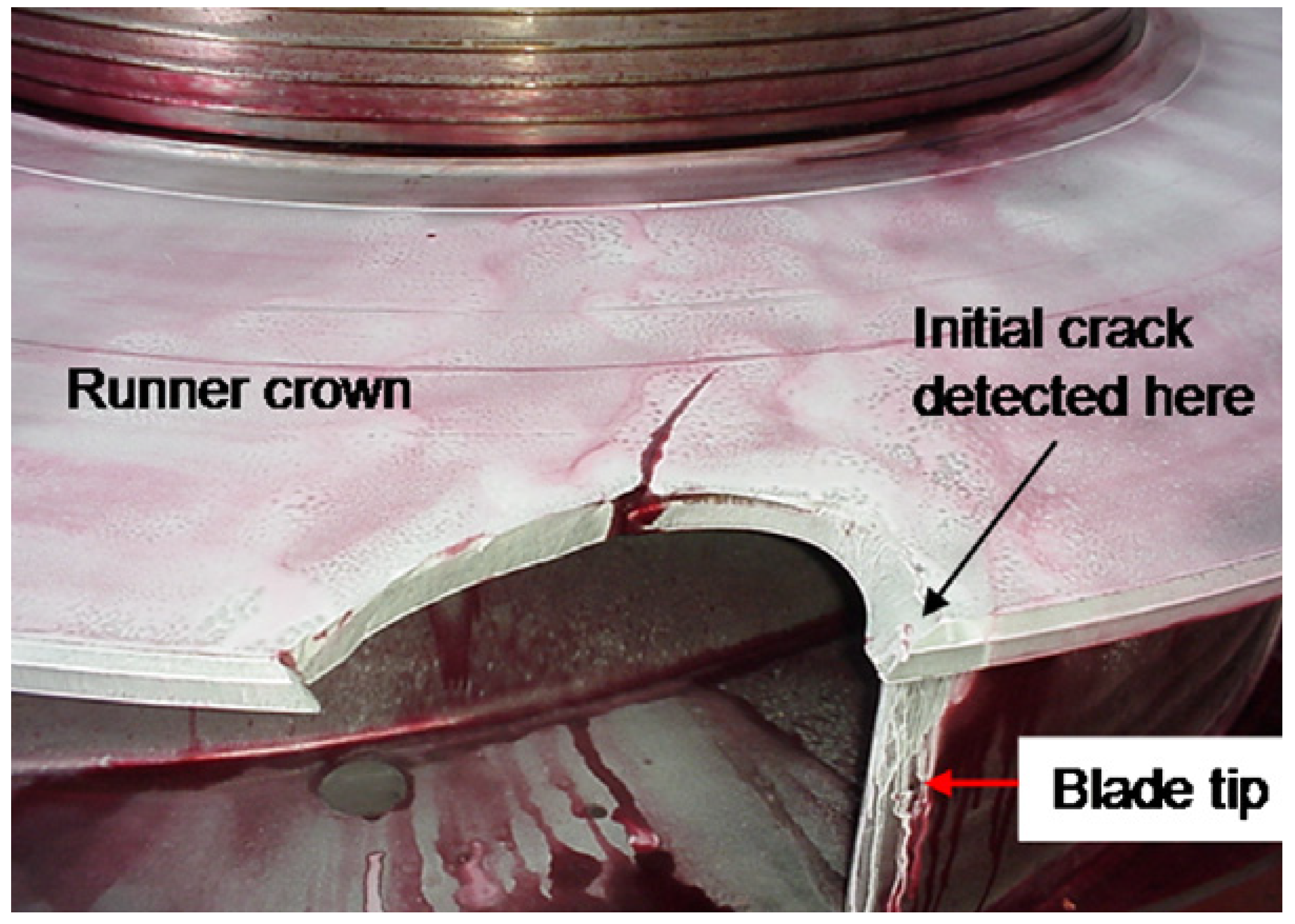 Applsci 14 11782 g001