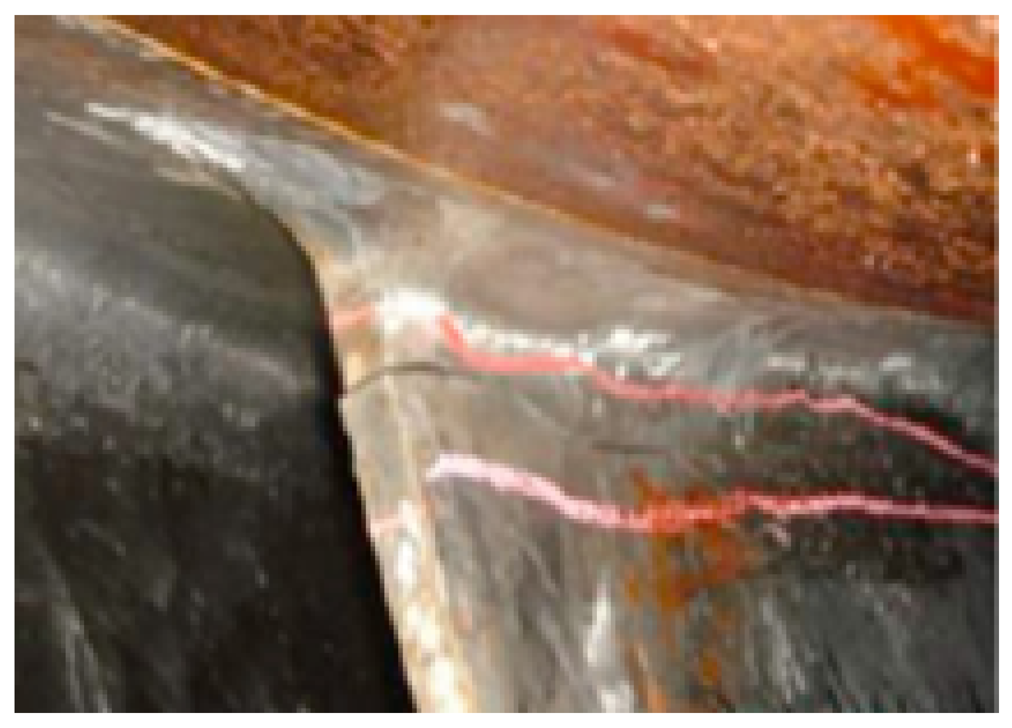 Applsci 14 11782 g014