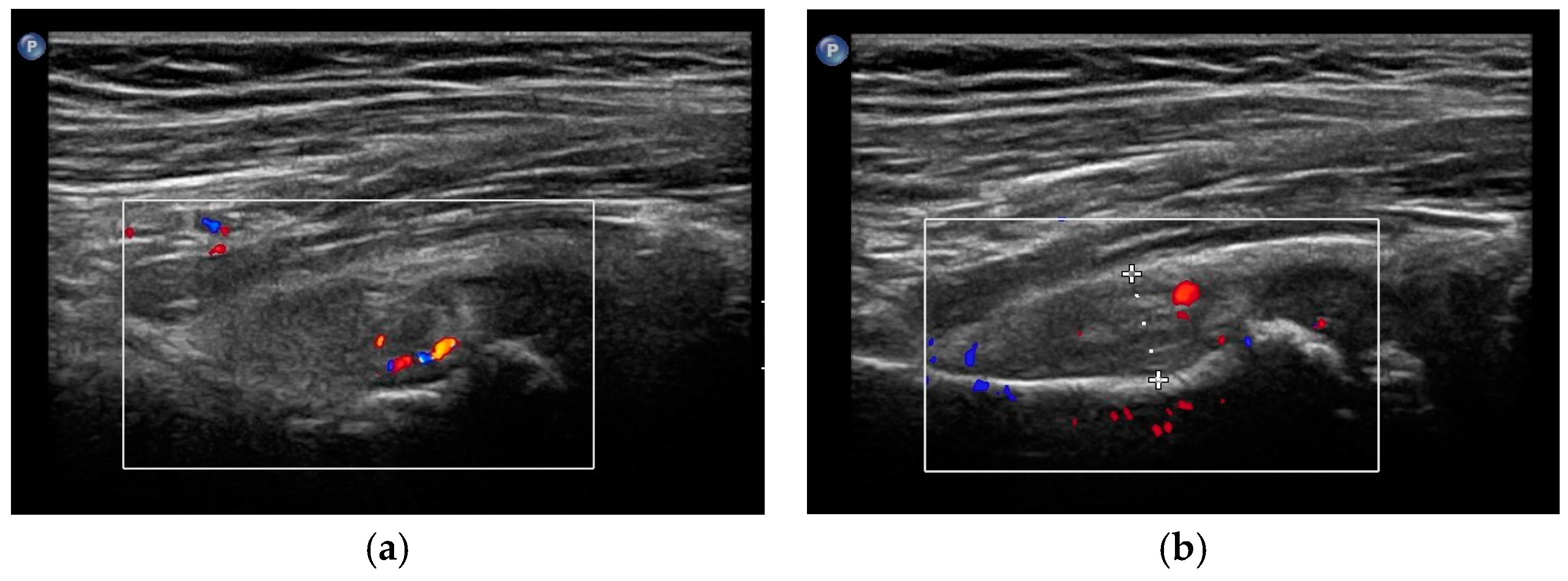 Applsci 14 11795 g004a Applsci 14 11795 g004a