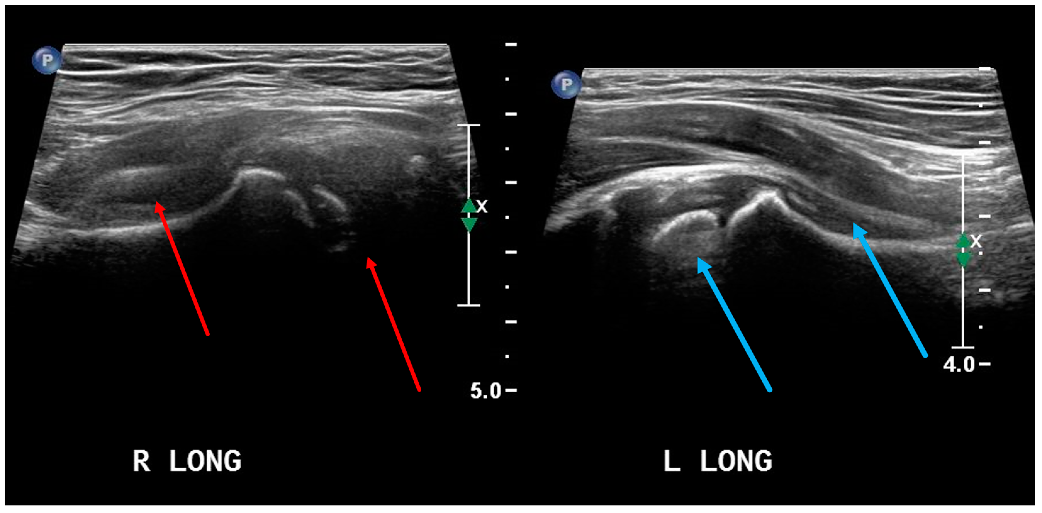 Applsci 14 11795 g005 Applsci 14 11795 g005