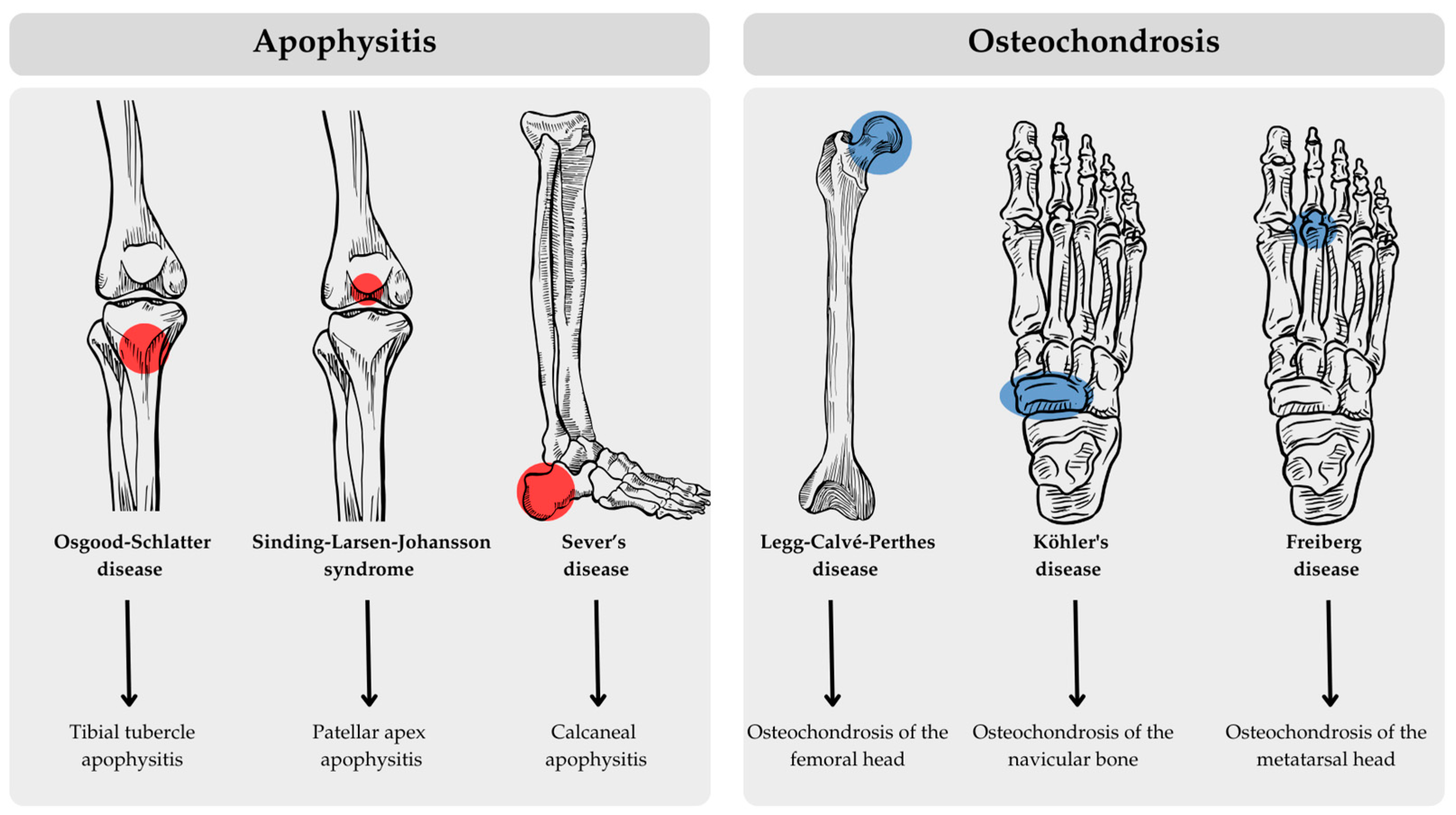 Applsci 14 11795 g006 Applsci 14 11795 g006