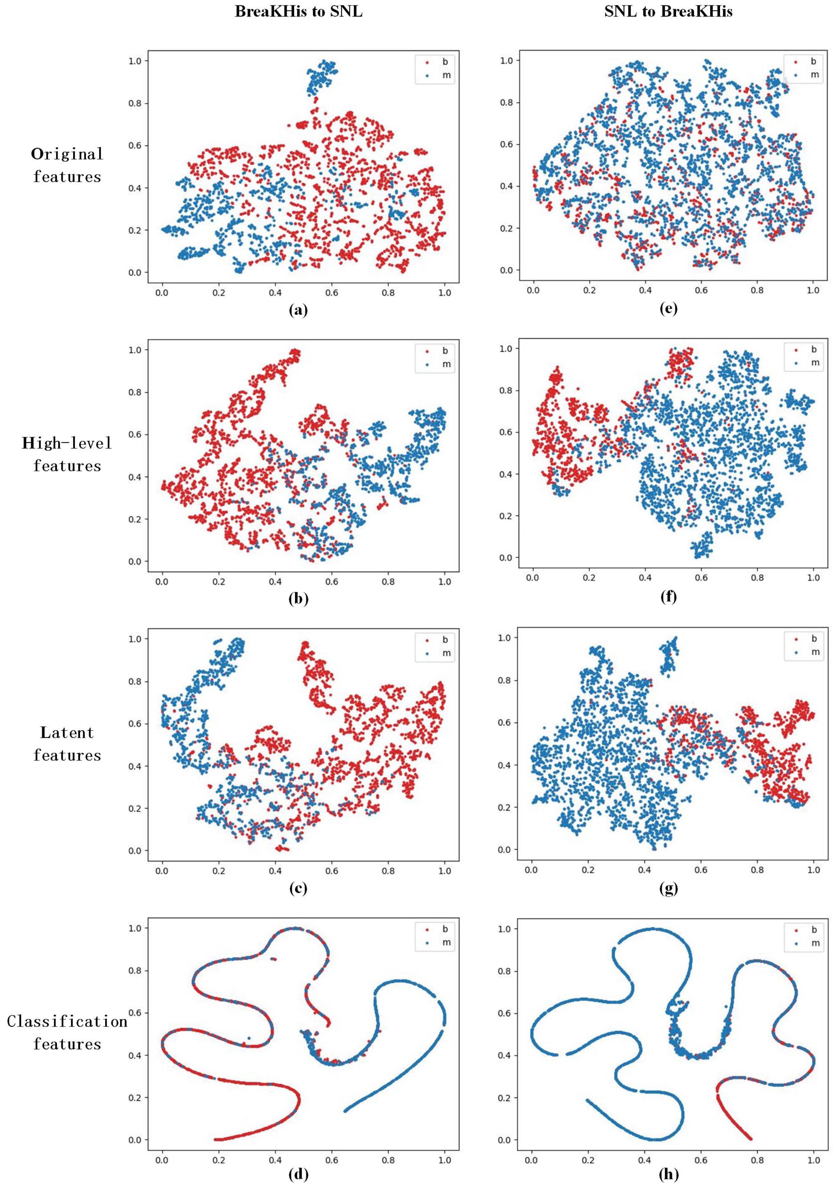 Applsci 14 11802 g003