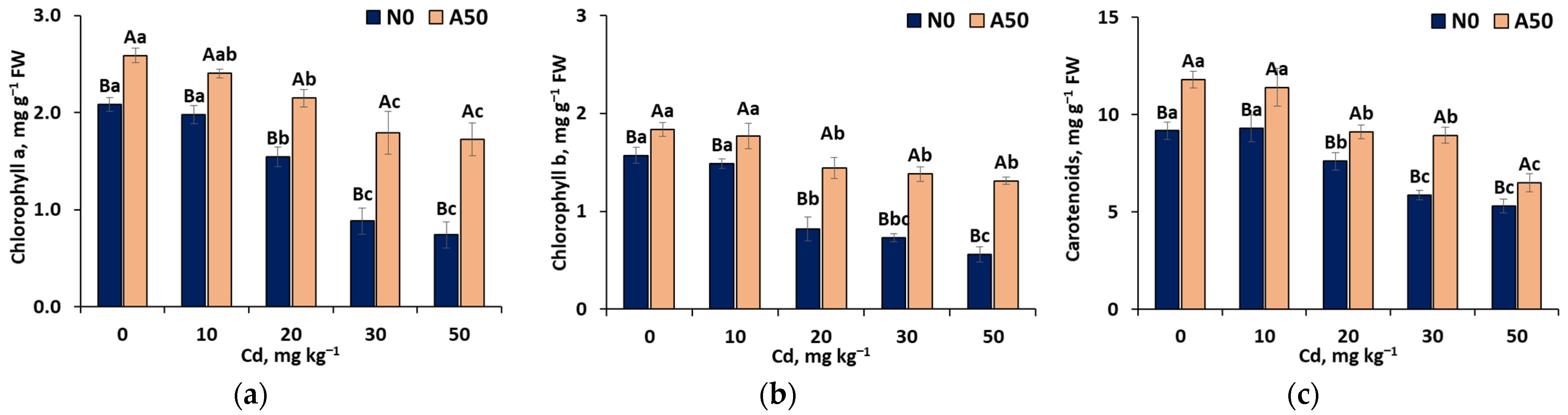 Applsci 14 11808 g001