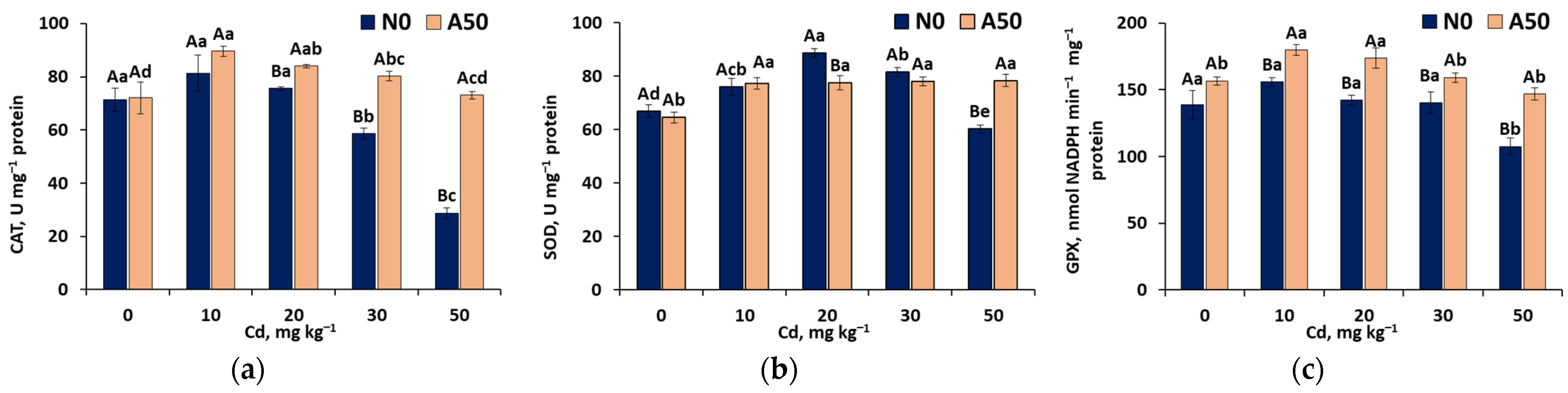 Applsci 14 11808 g004