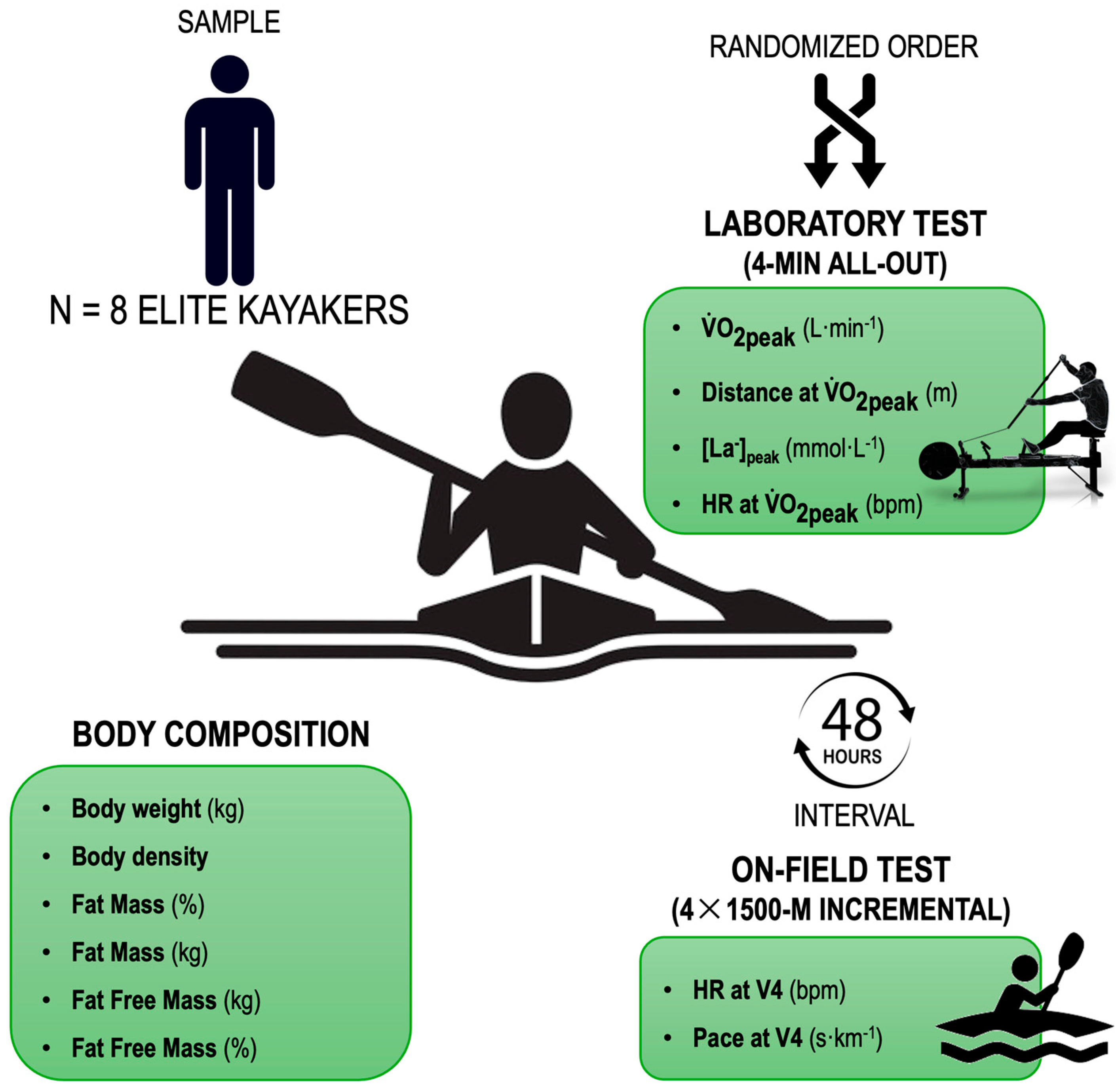 Applsci 14 11826 g001