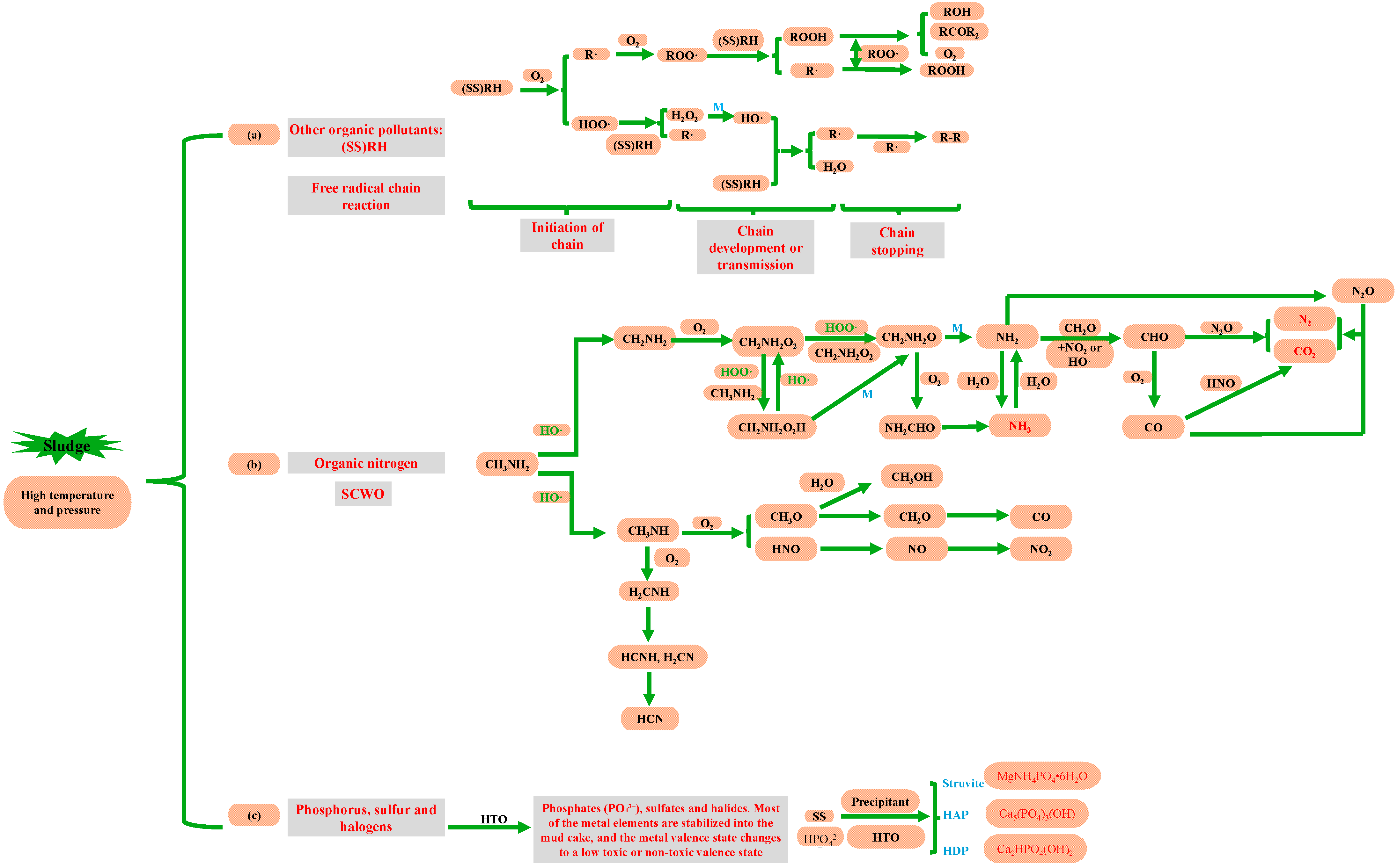 Applsci 14 11827 g003