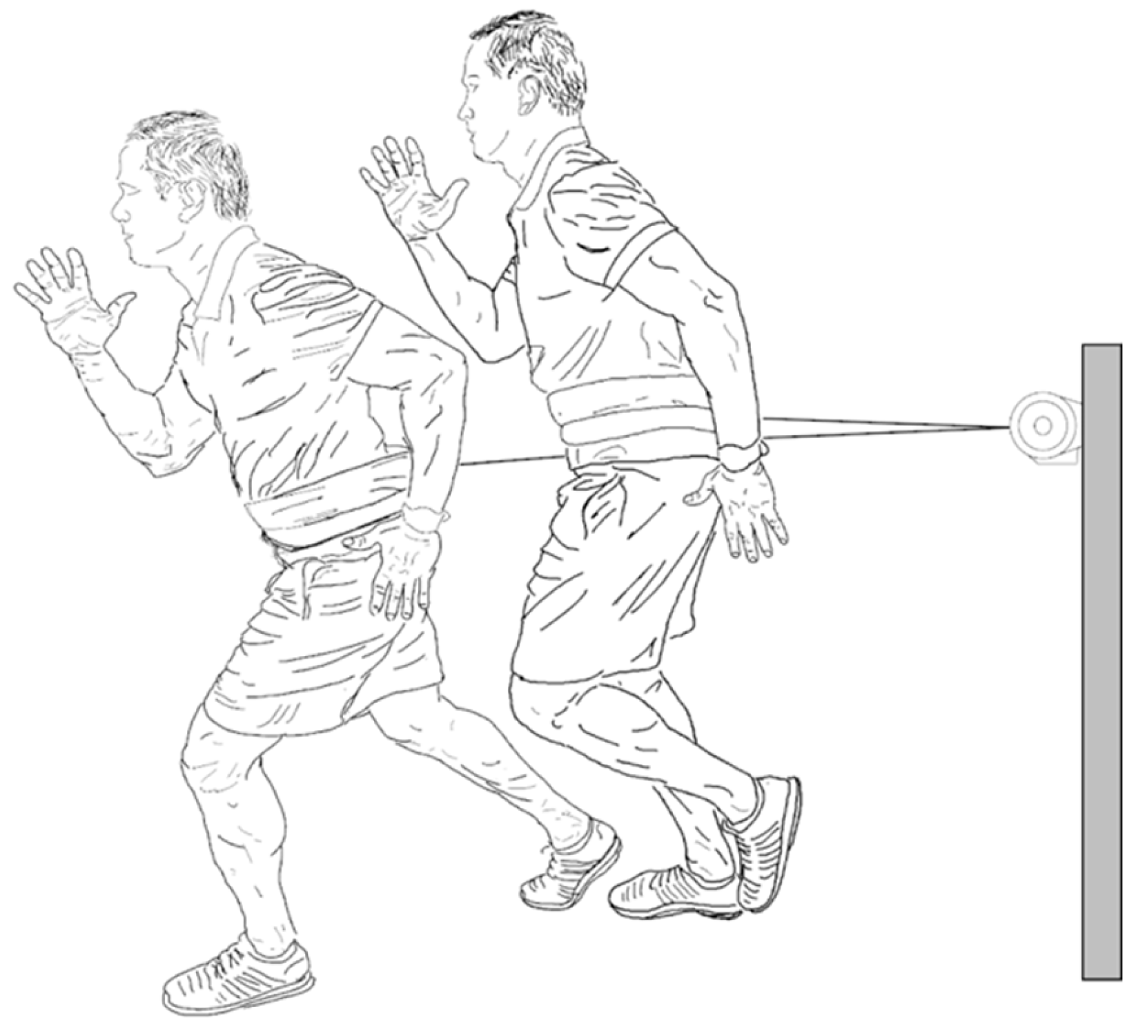 Applsci 14 11857 g001