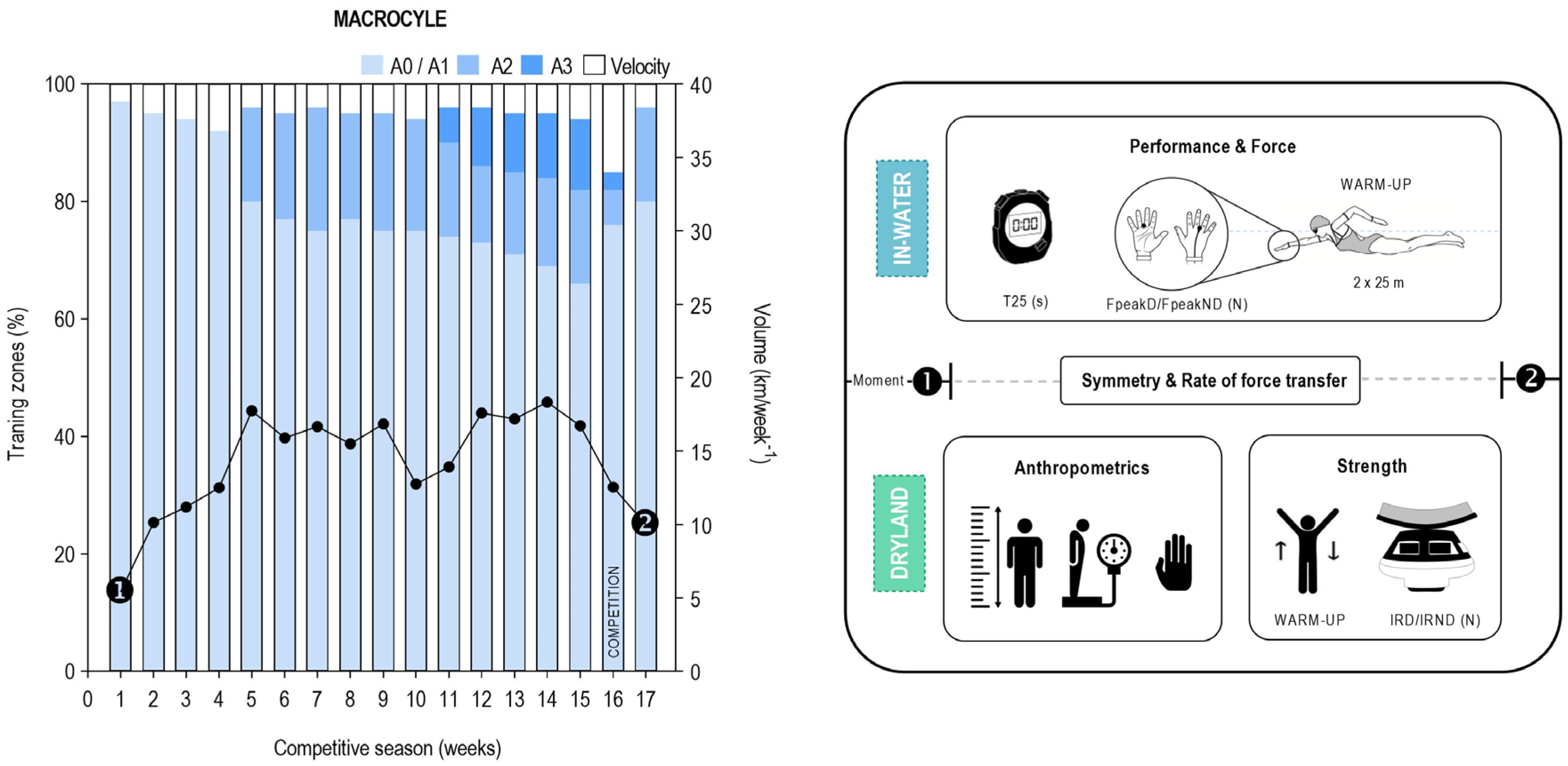 Applsci 14 11858 g001