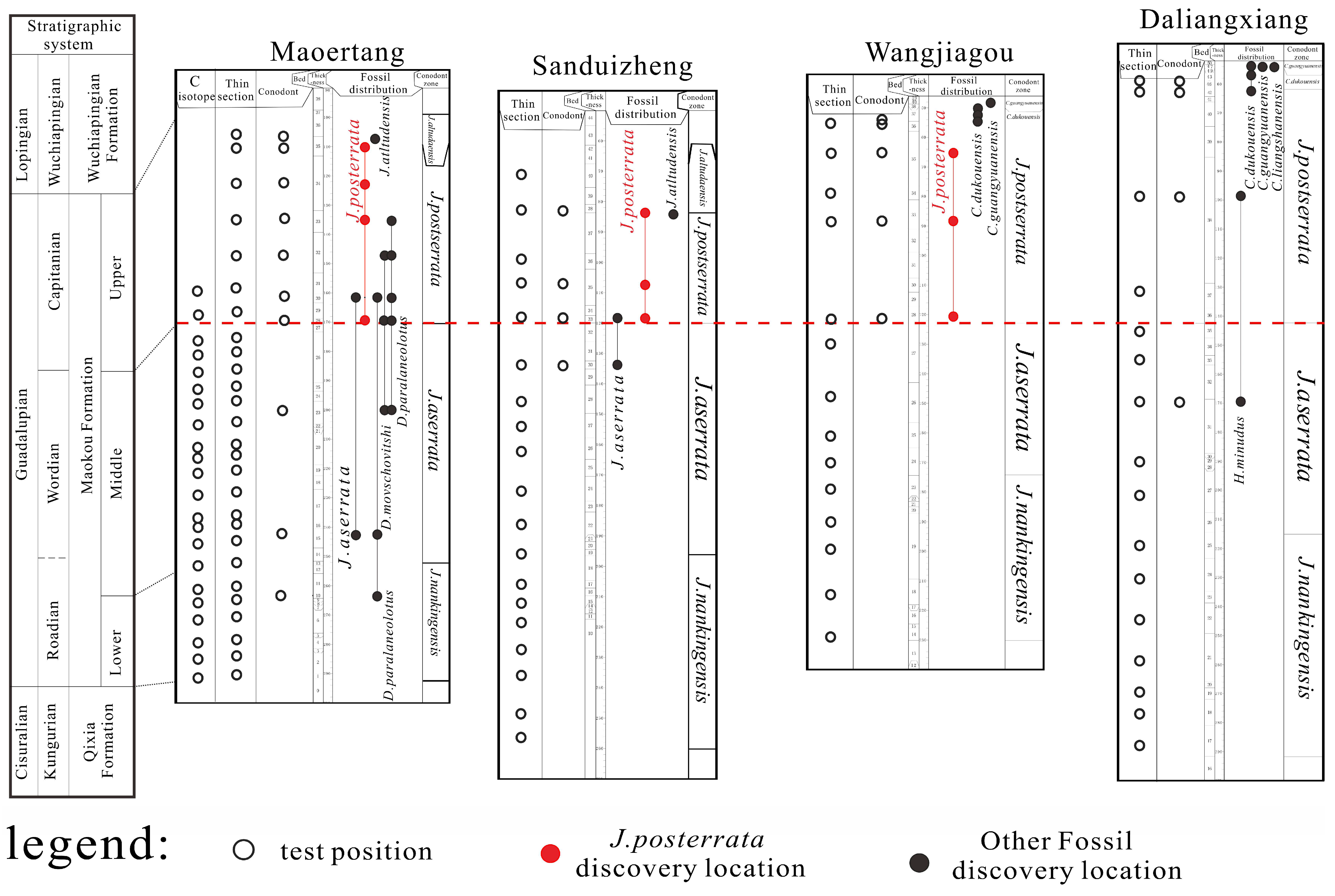 Applsci 14 11863 g004 Applsci 14 11863 g004