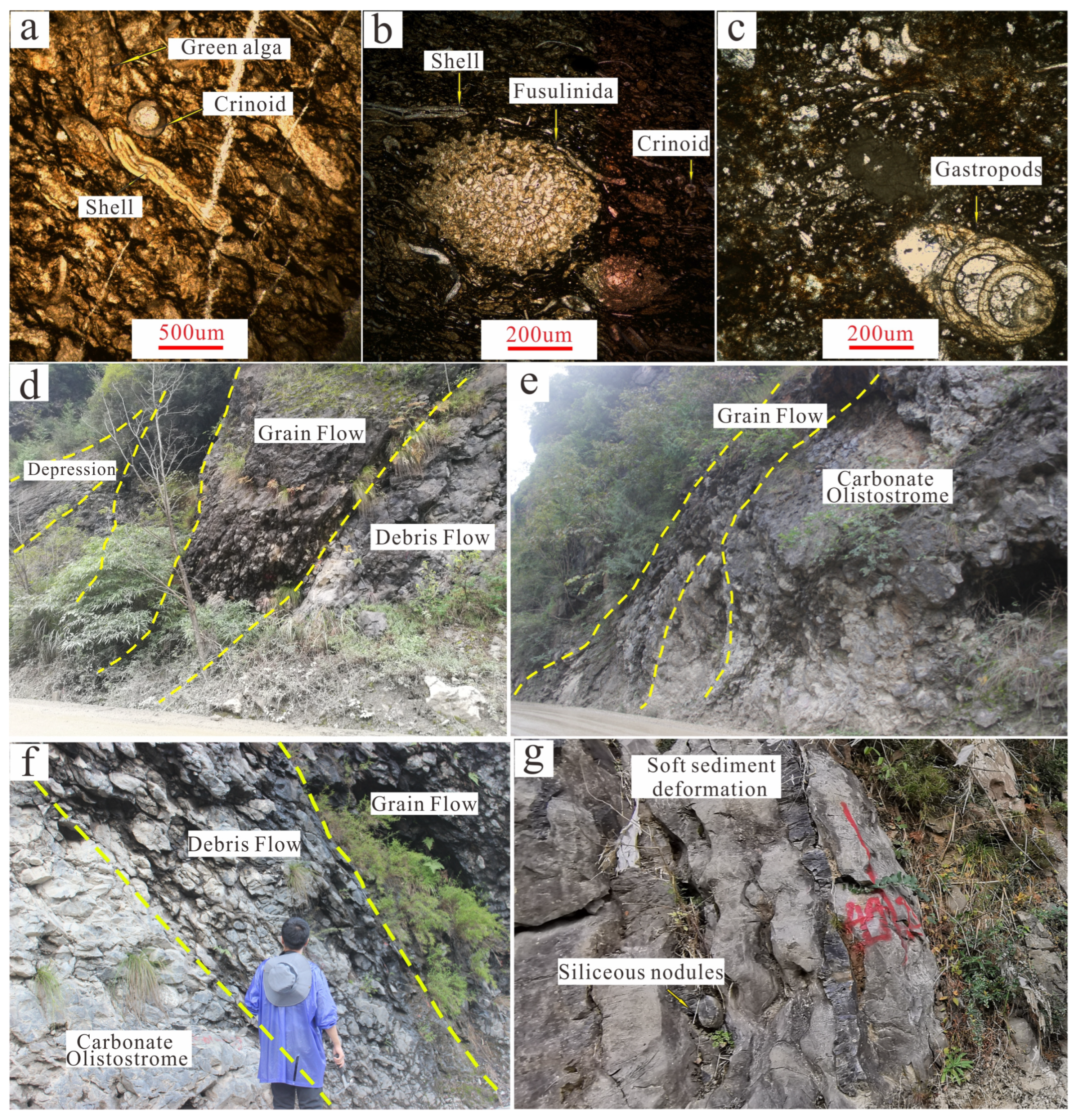 Applsci 14 11863 g006 Applsci 14 11863 g006