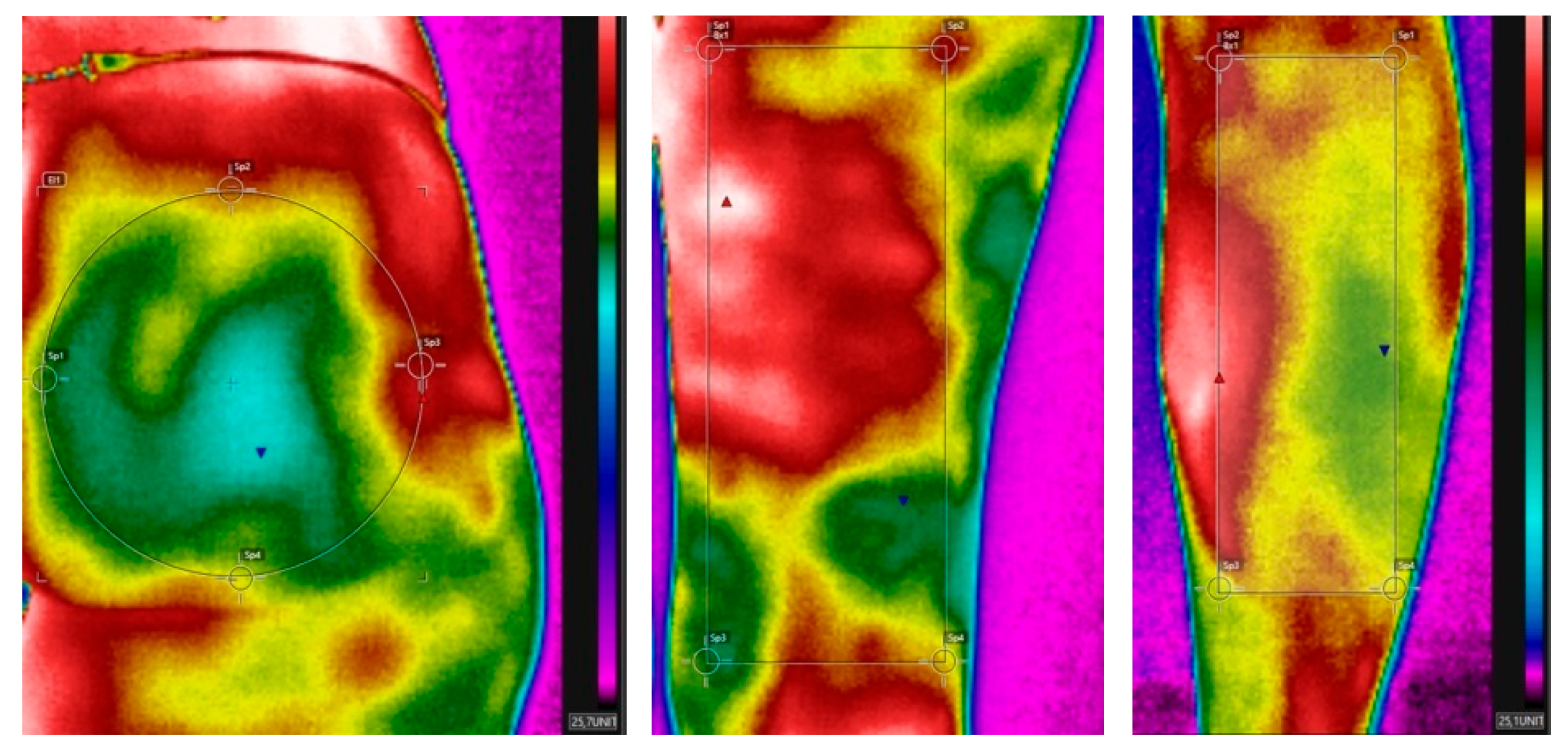 Applsci 14 11874 g003