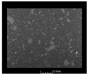 Applsci 14 11878 i003