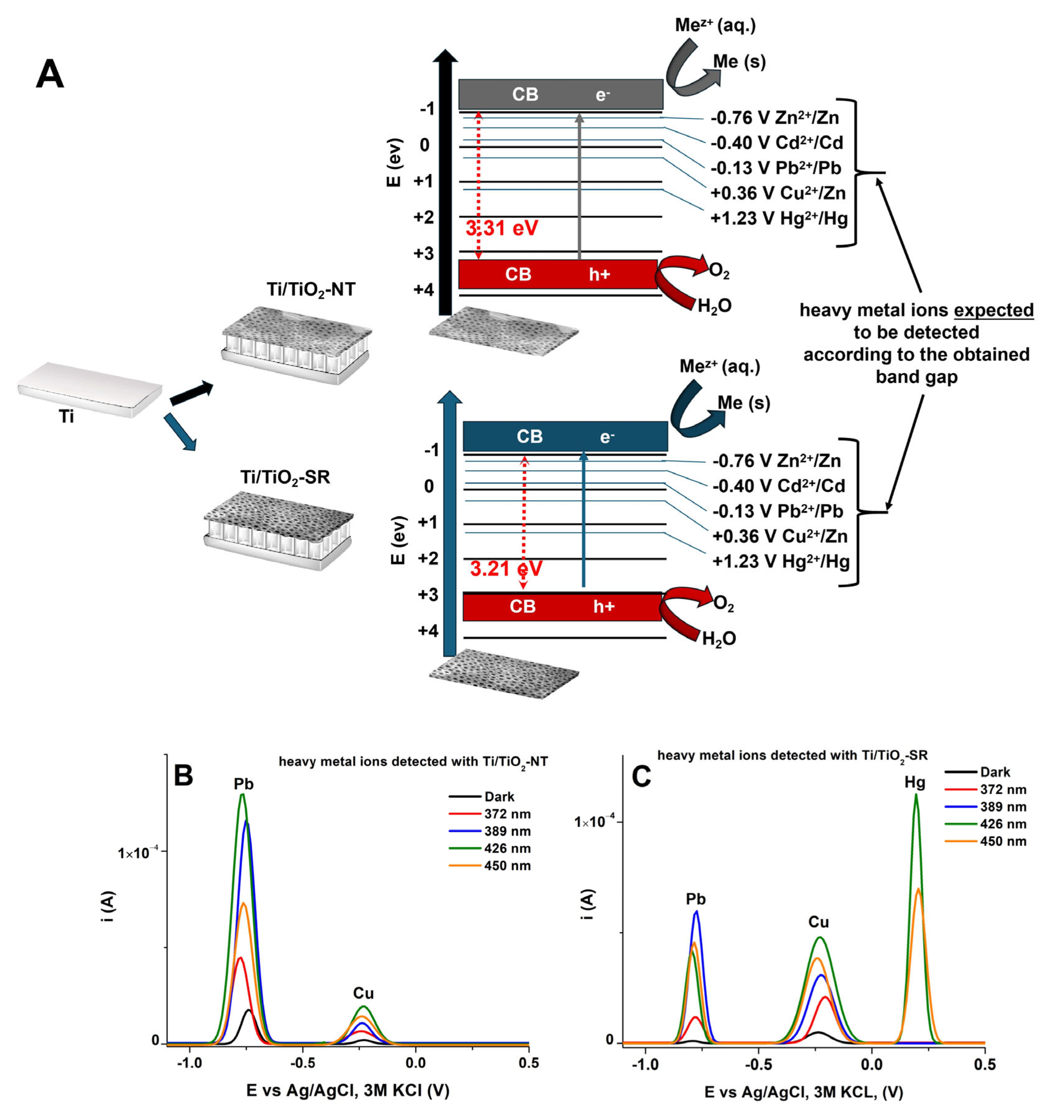 Applsci 14 11879 g003