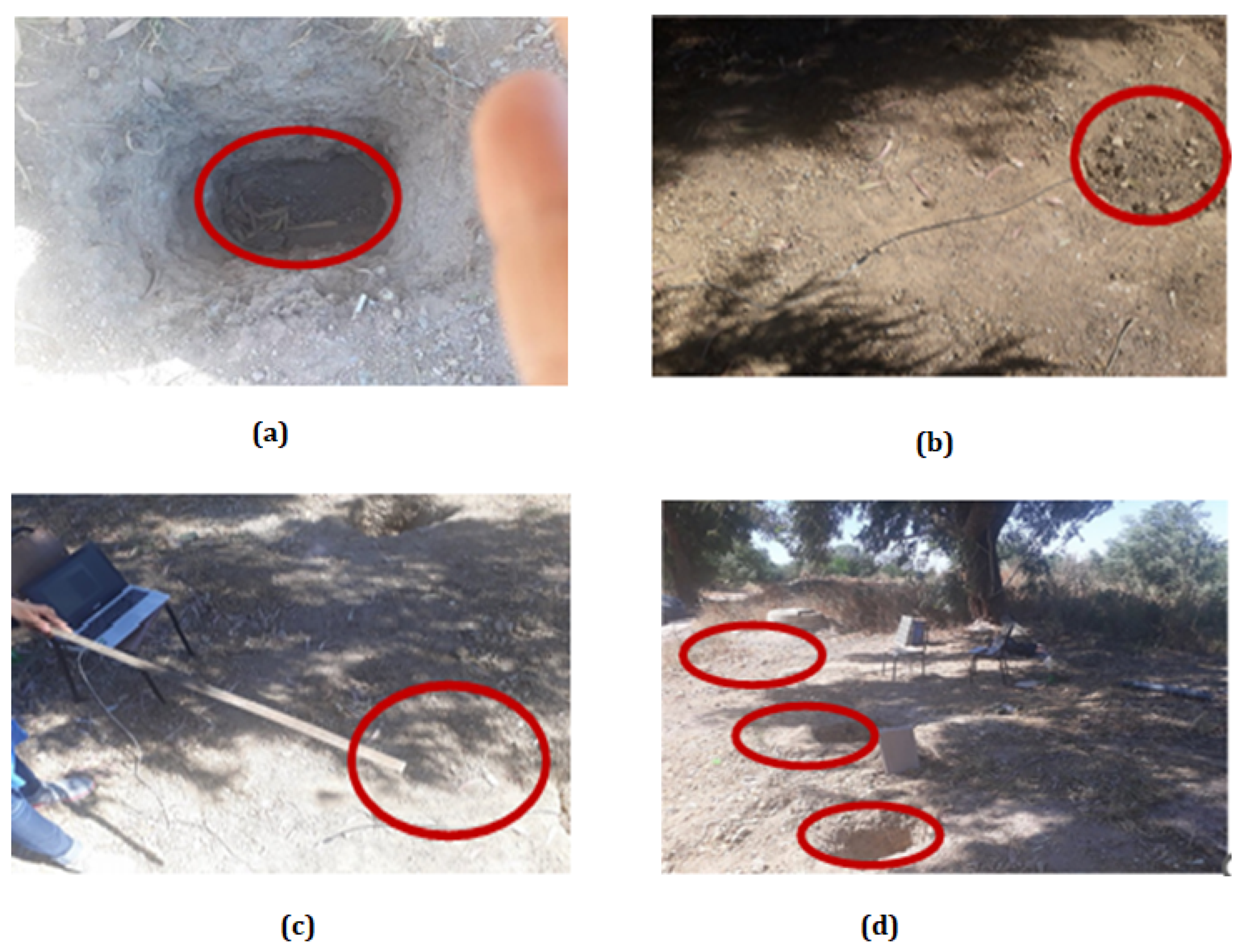 Applsci 14 11884 g003