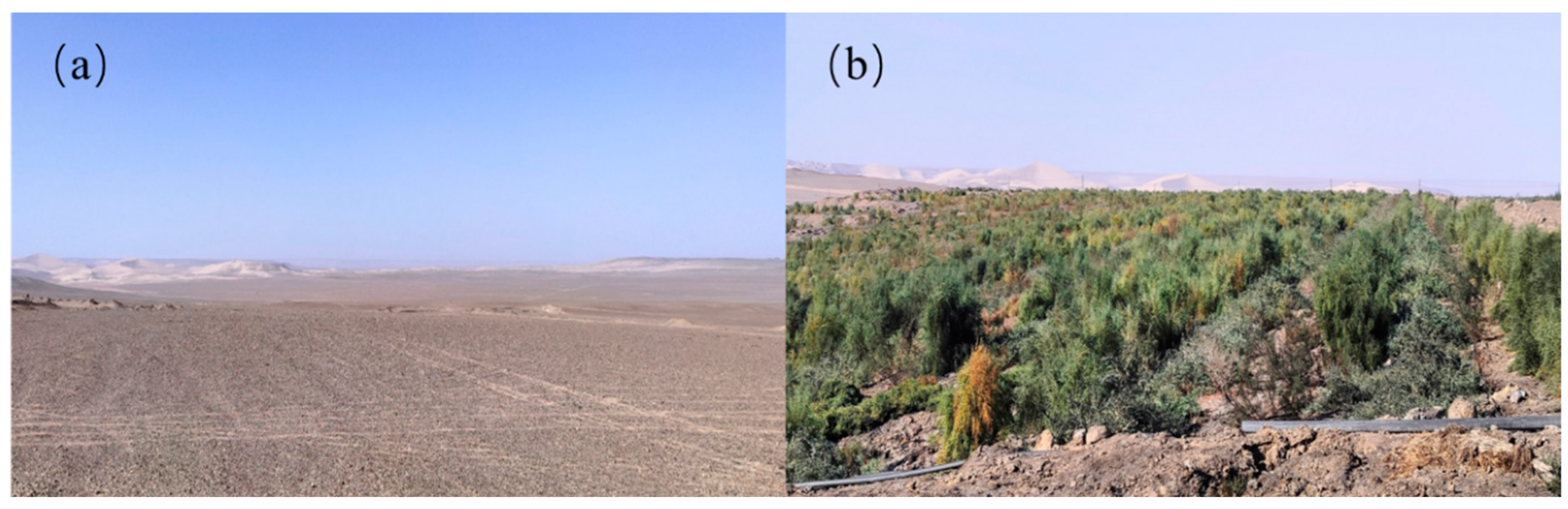 Applsci 14 11890 g0a2