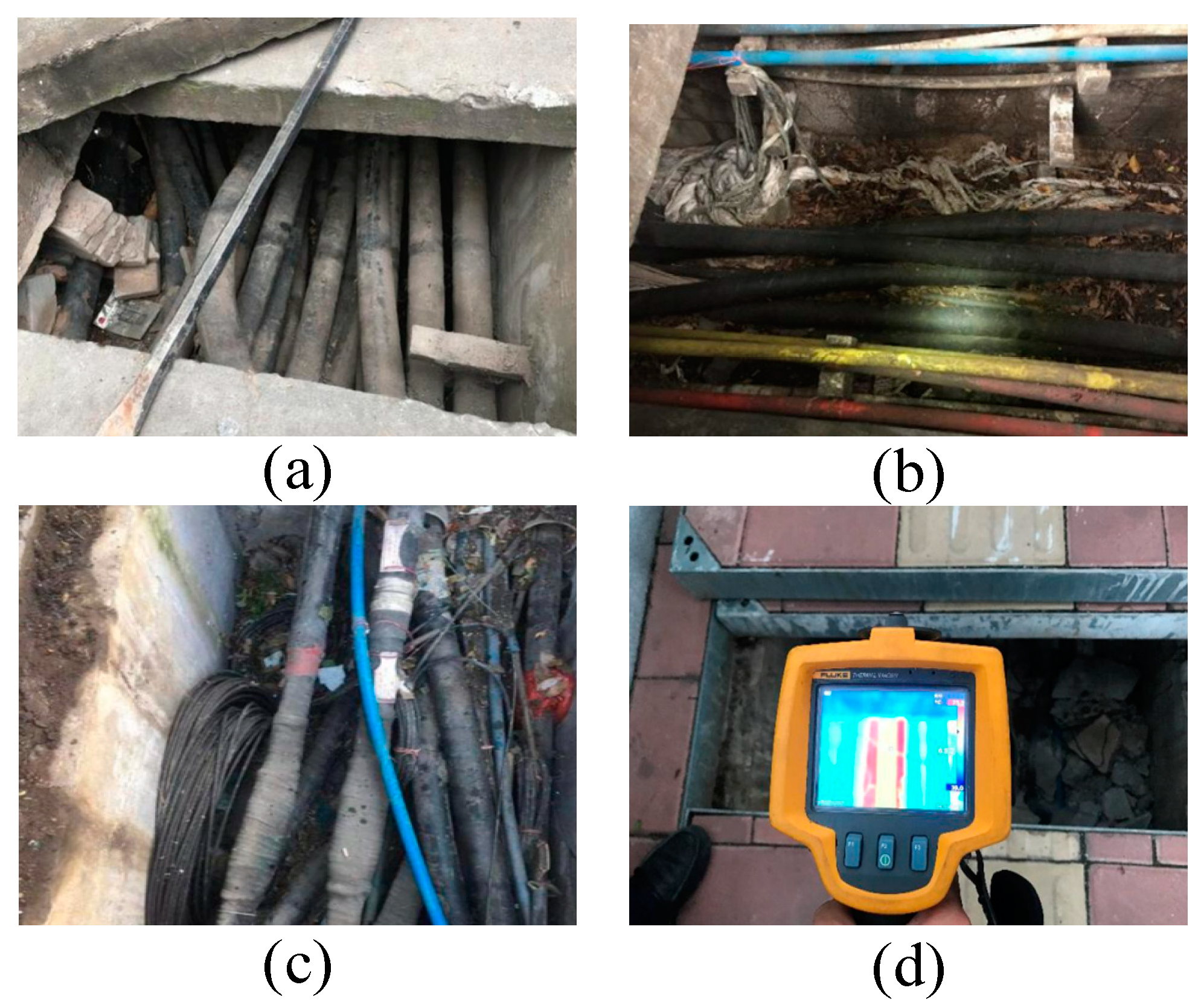 Applsci 14 11904 g001