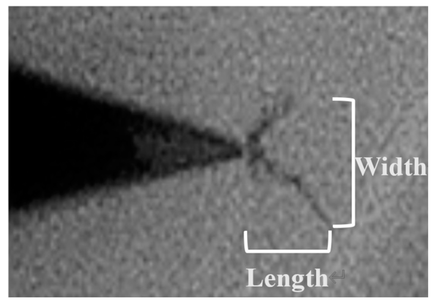 Applsci 14 11915 g005