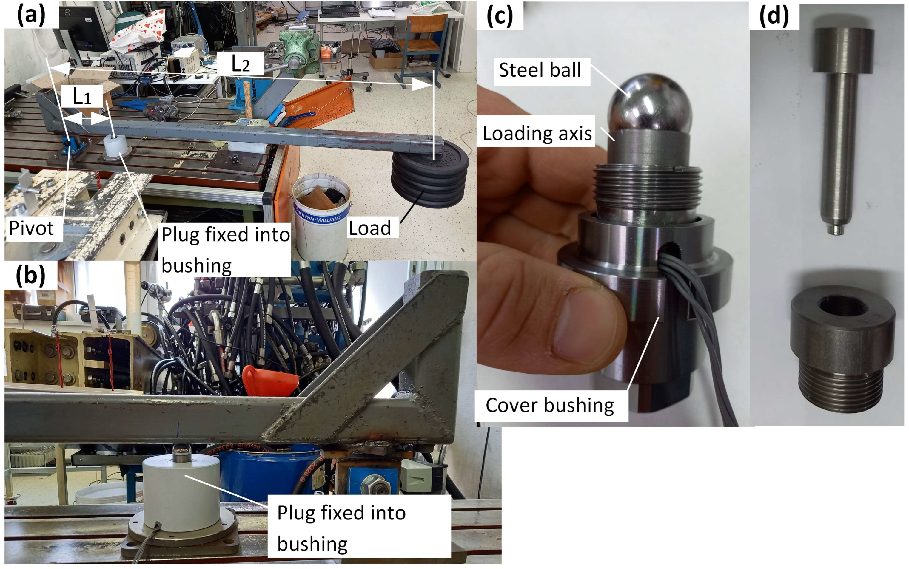 Applsci 14 11920 g0a1 Applsci 14 11920 g0a1