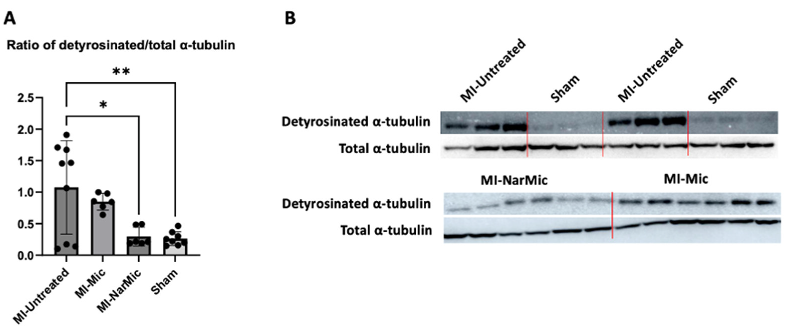Applsci 14 11936 g001