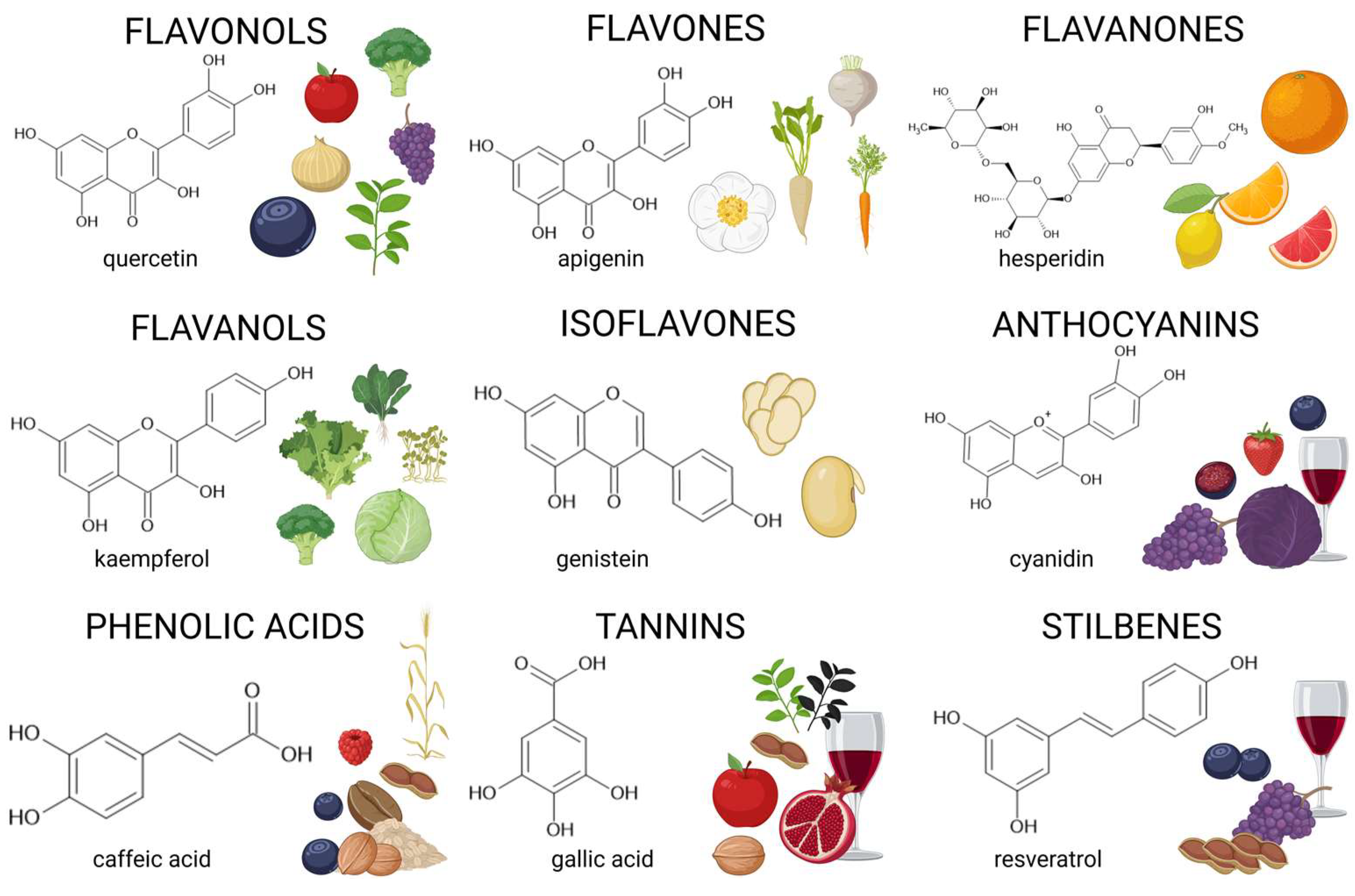 Applsci 14 11954 g001