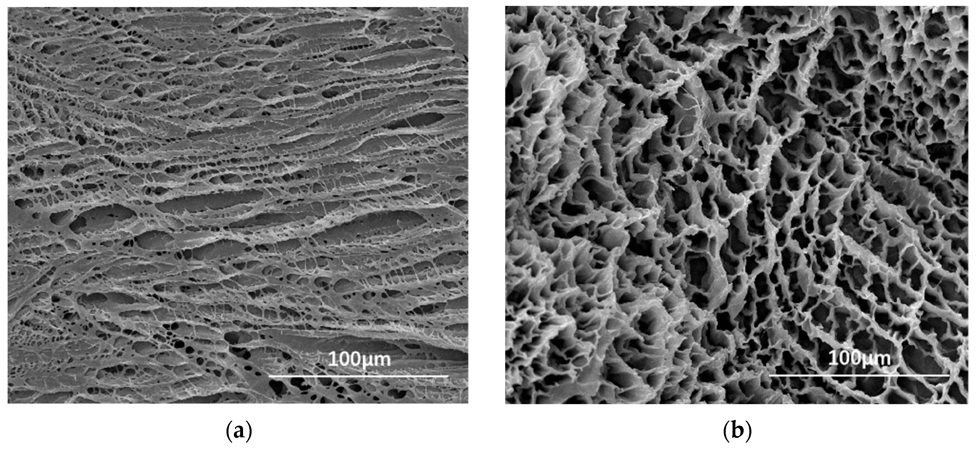 Applsci 14 11957 g011