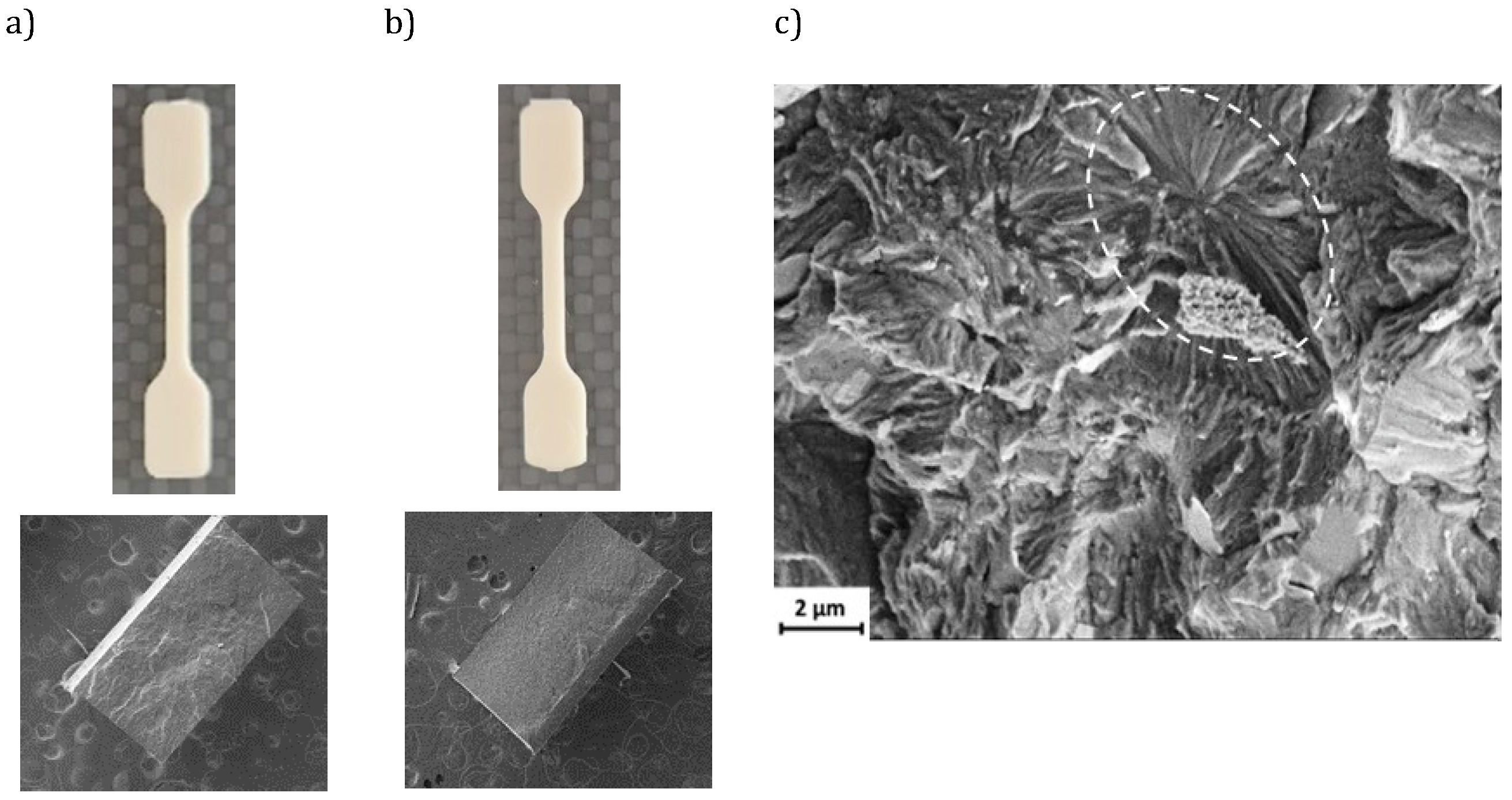 Applsci 14 11959 g003