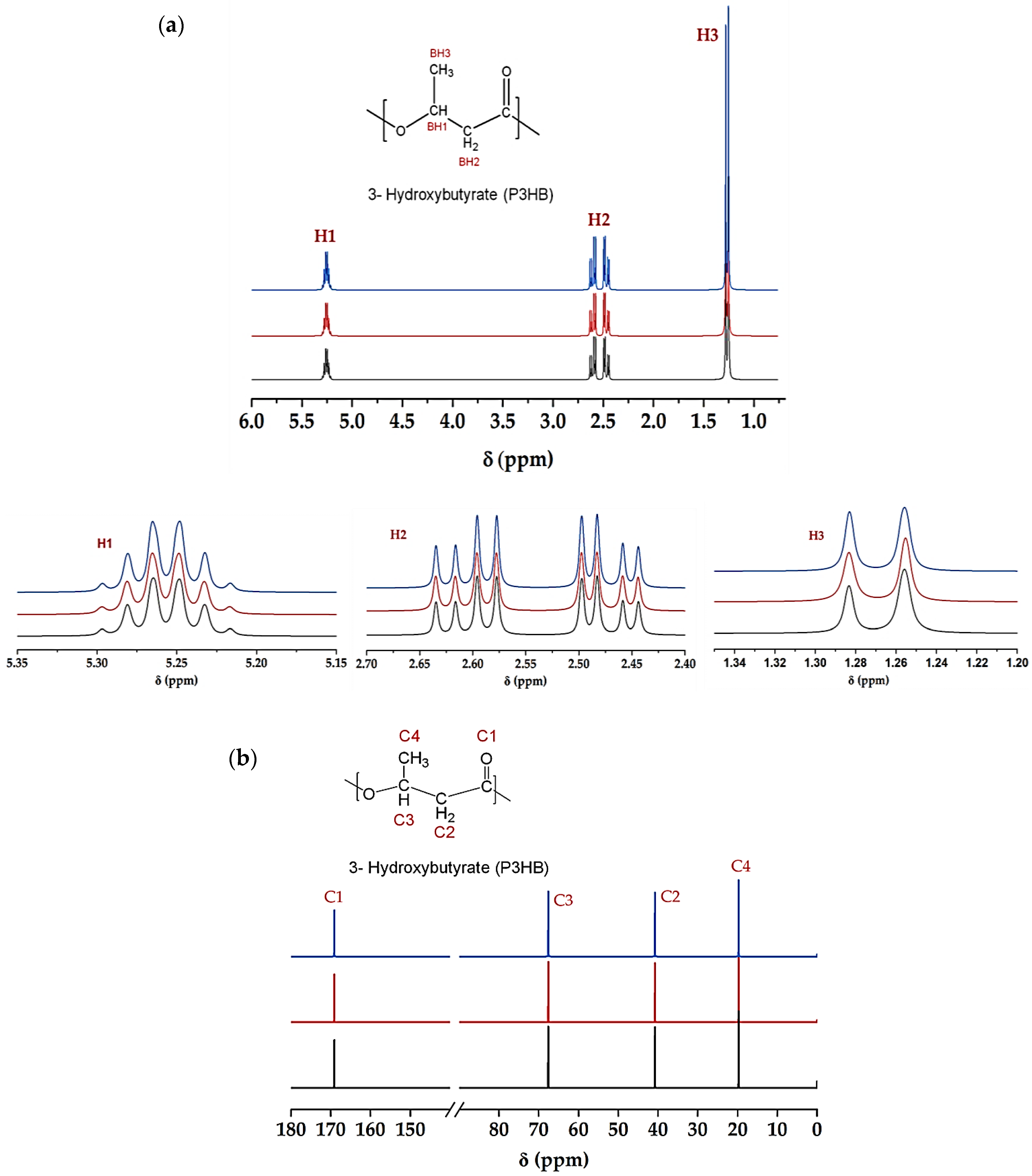 Applsci 14 11959 g004