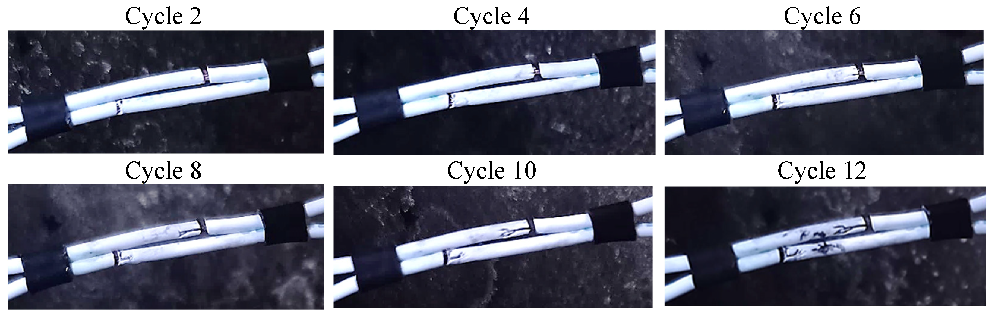 Applsci 14 11972 g005