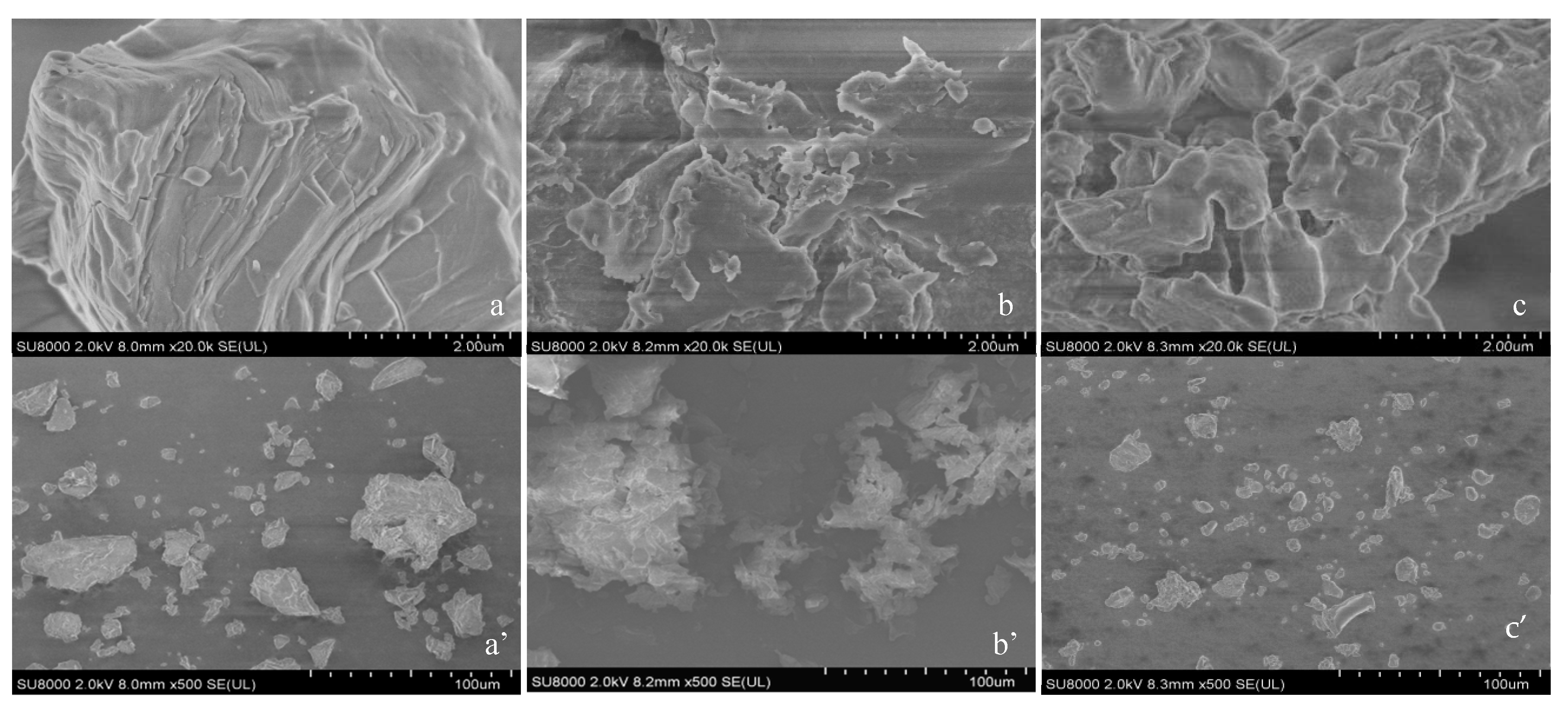 Applsci 14 11979 g005