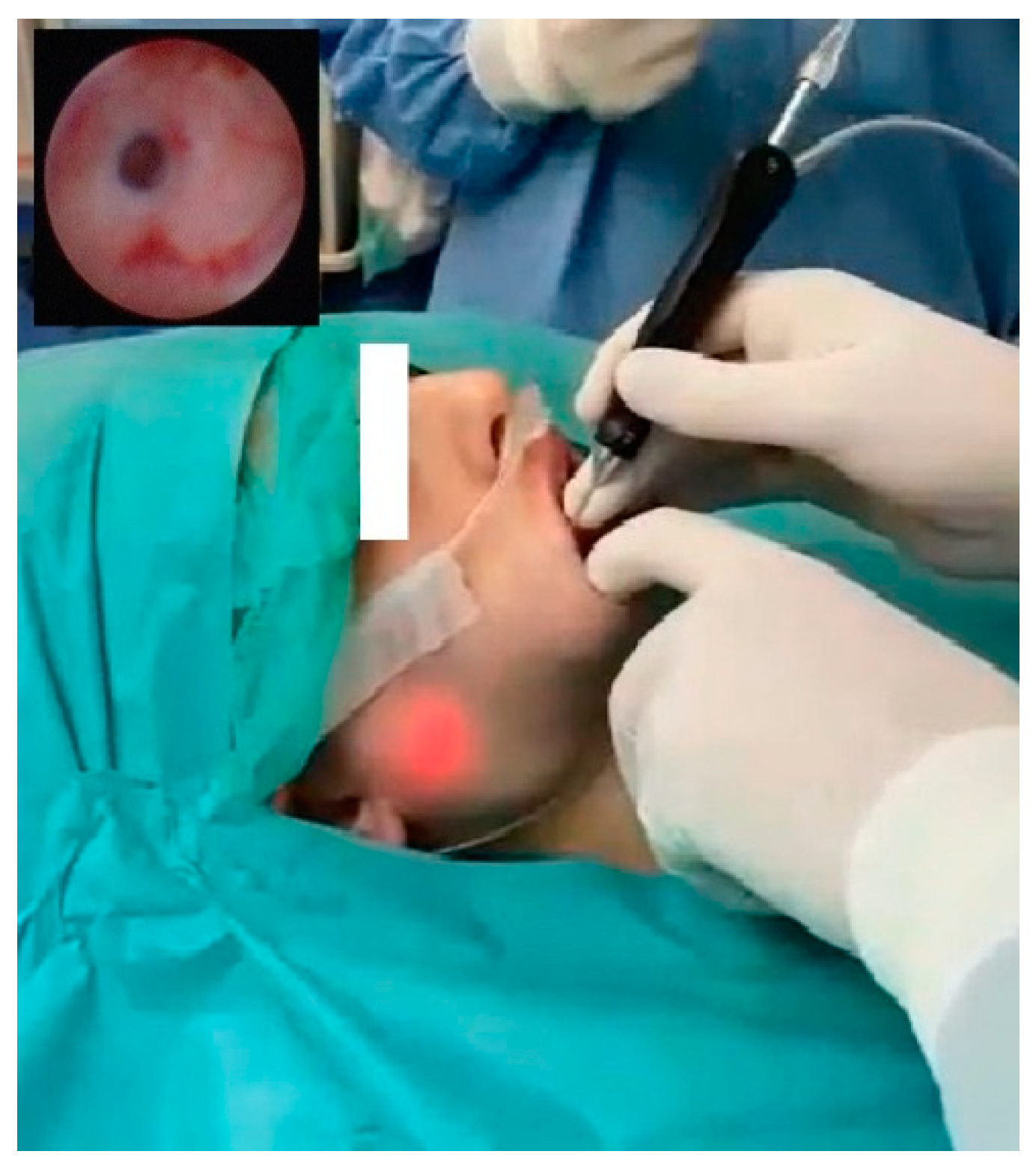 Applsci 14 11982 g002