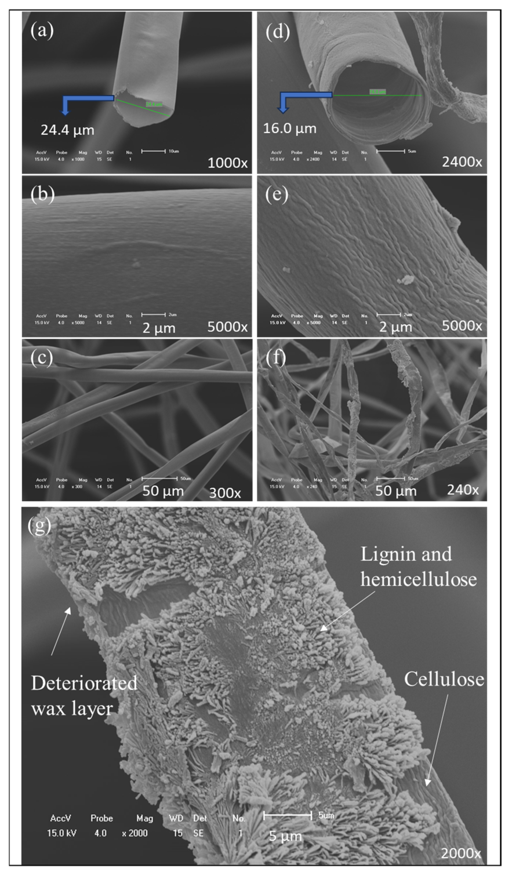 Applsci 14 11995 g007