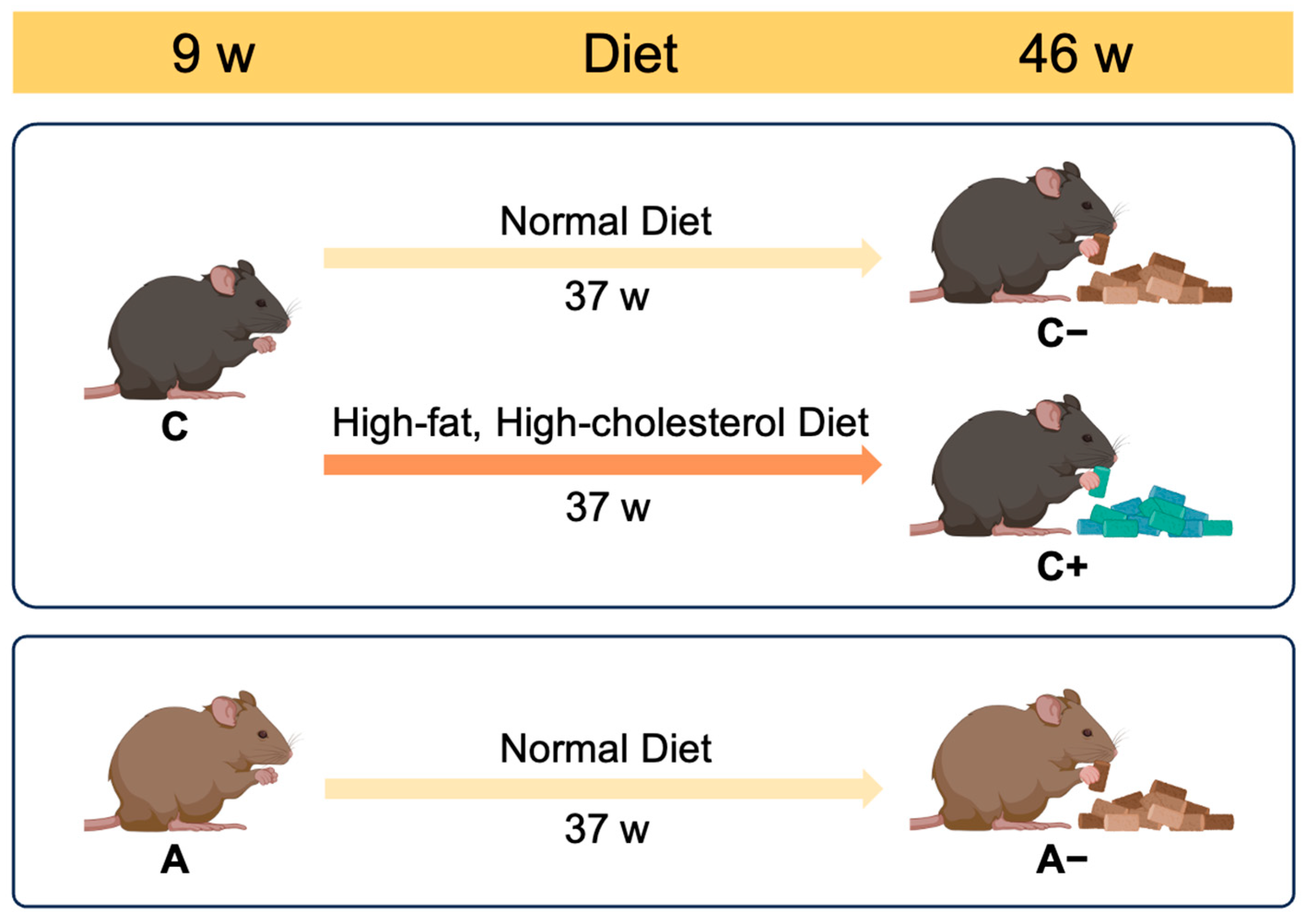 Applsci 14 12004 g001