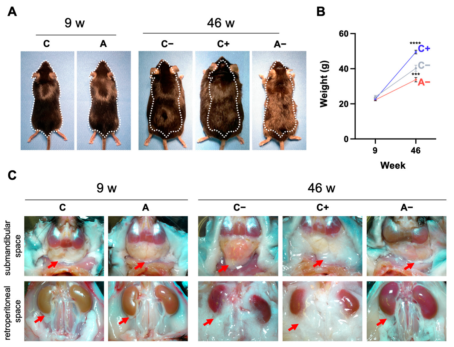 Applsci 14 12004 g003