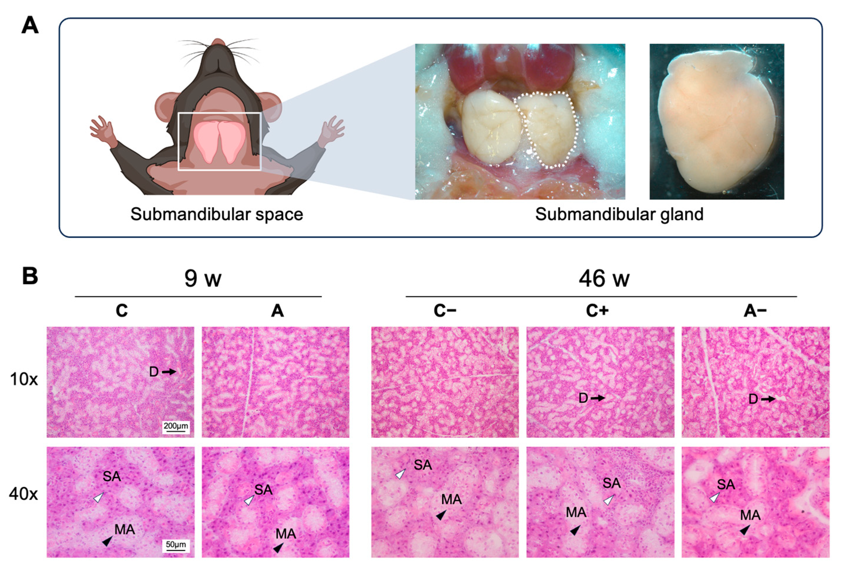 Applsci 14 12004 g006