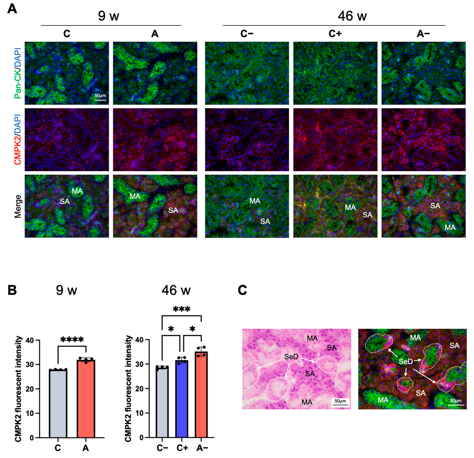 Applsci 14 12004 g007