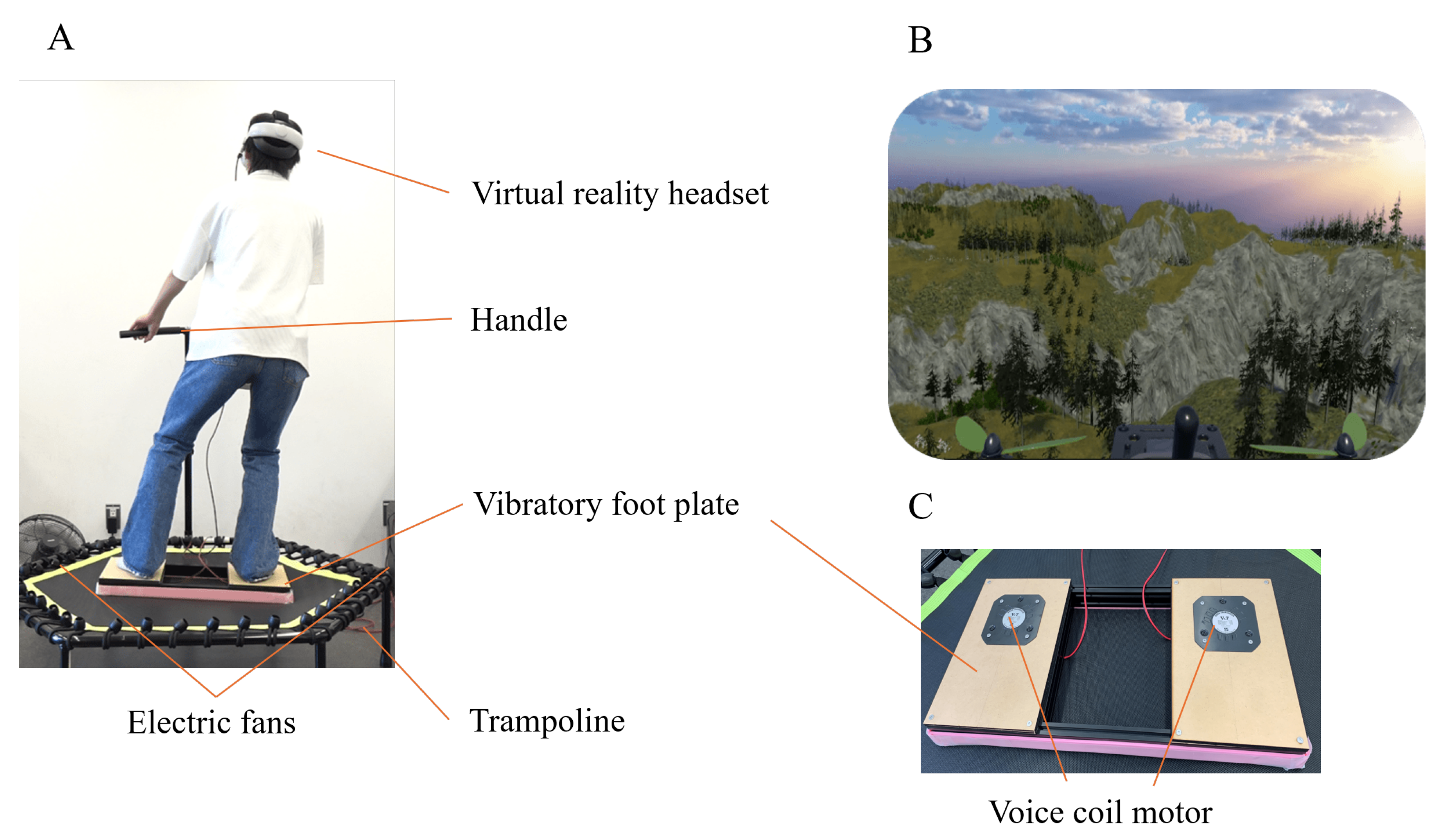 Applsci 14 12019 g001