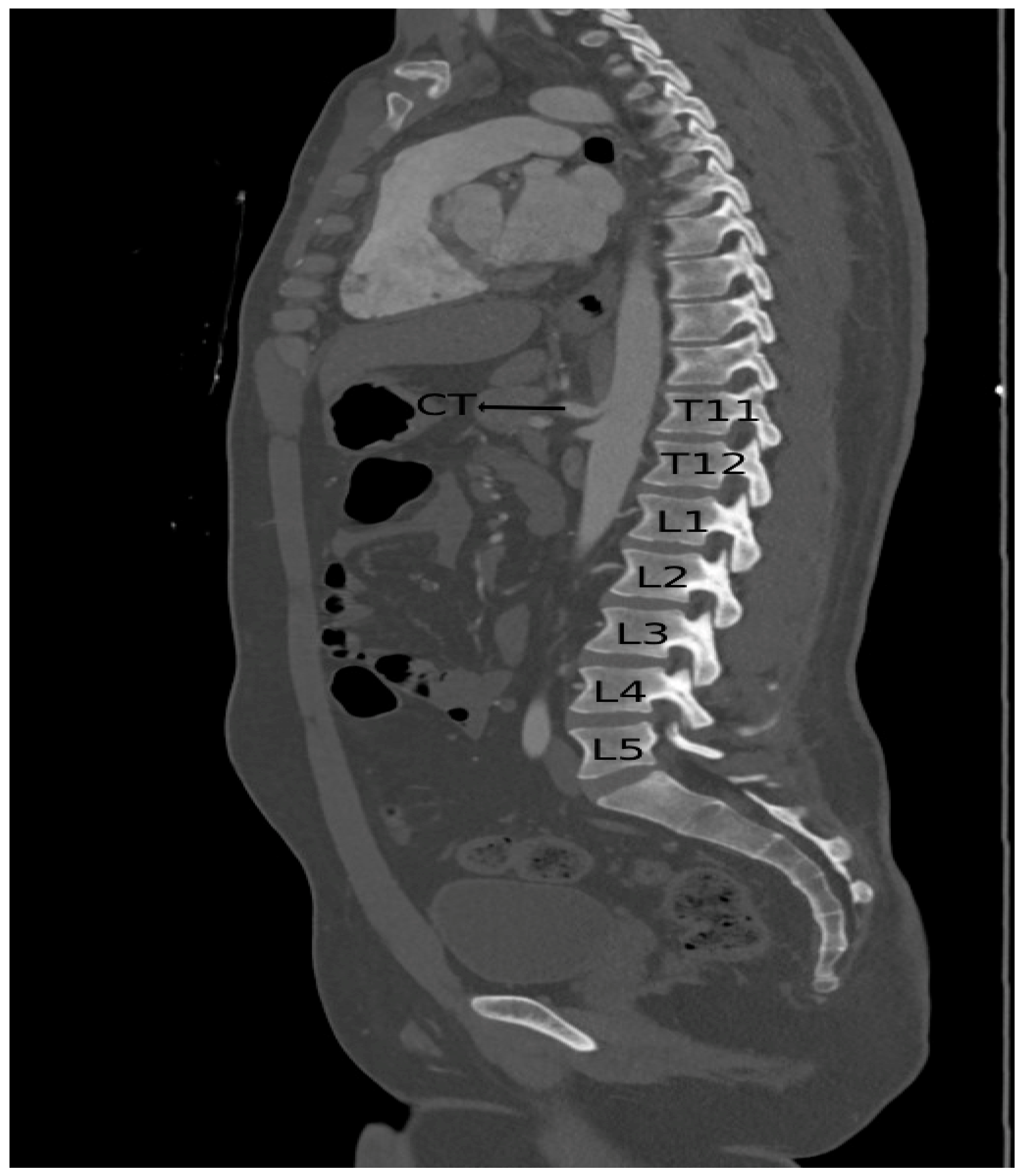 Applsci 14 12033 g004