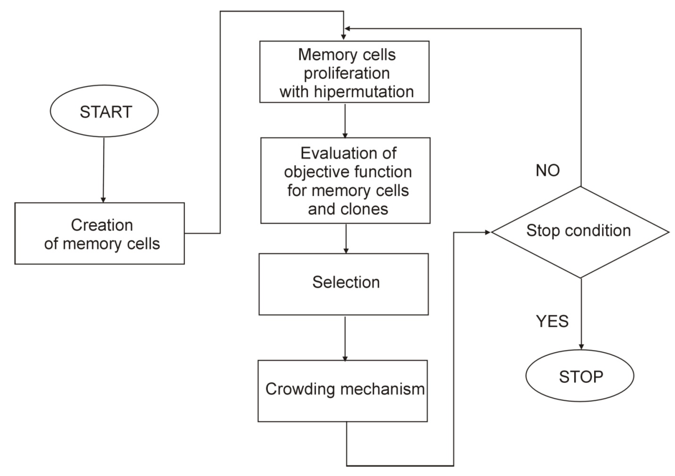 Applsci 14 12044 g001