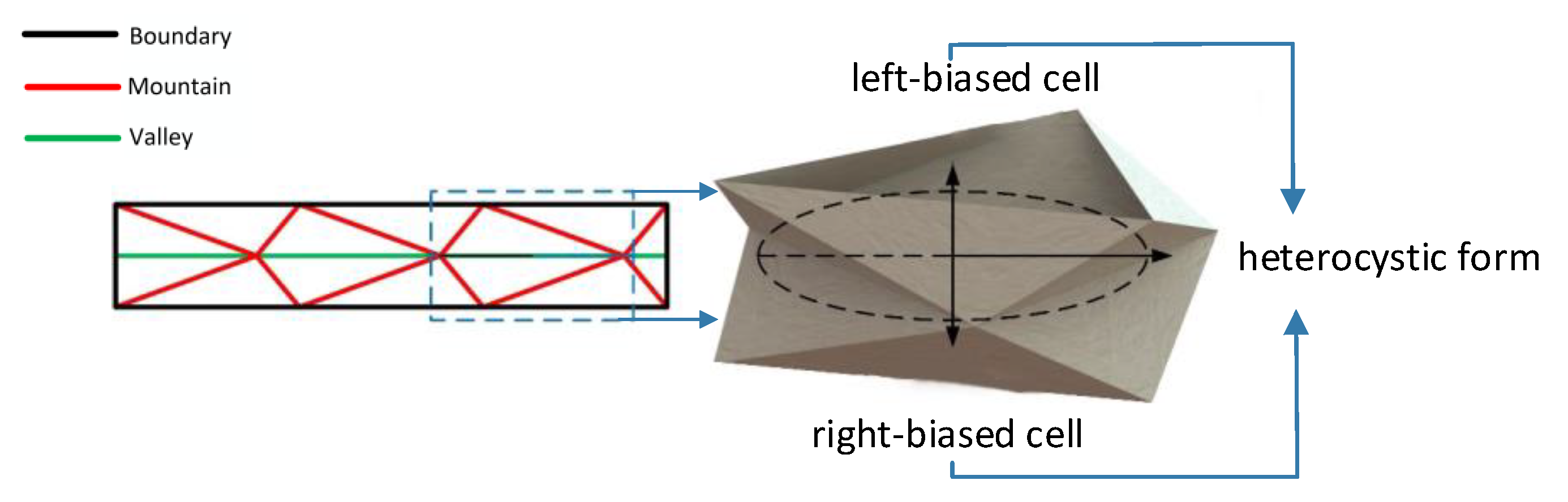 Applsci 14 12048 g005