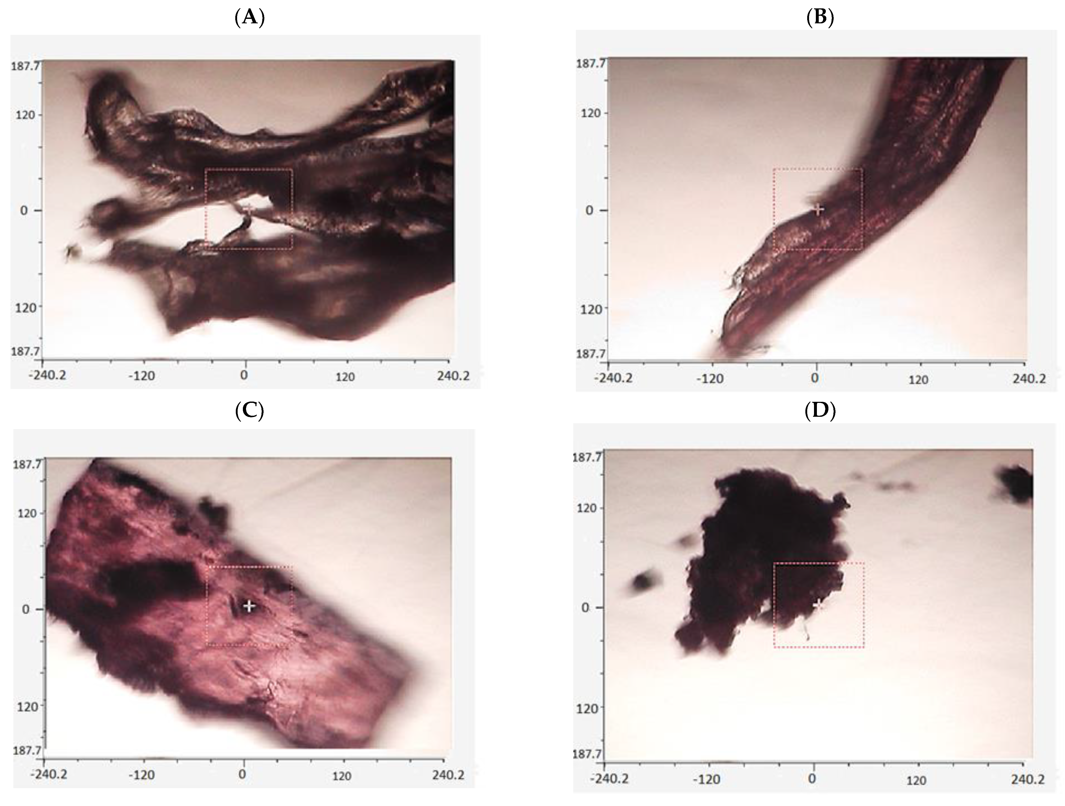 Applsci 15 00001 g002