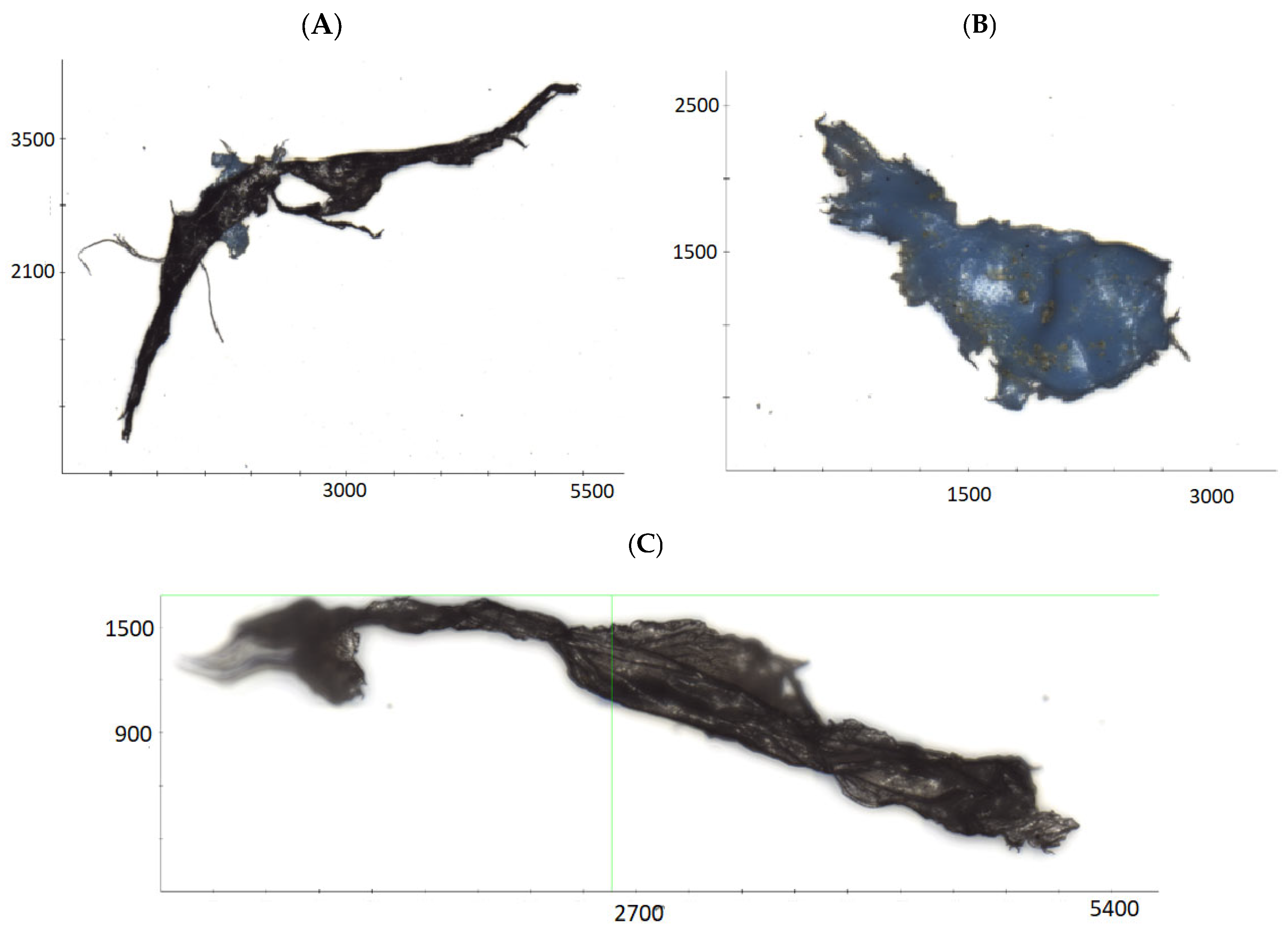 Applsci 15 00001 g003