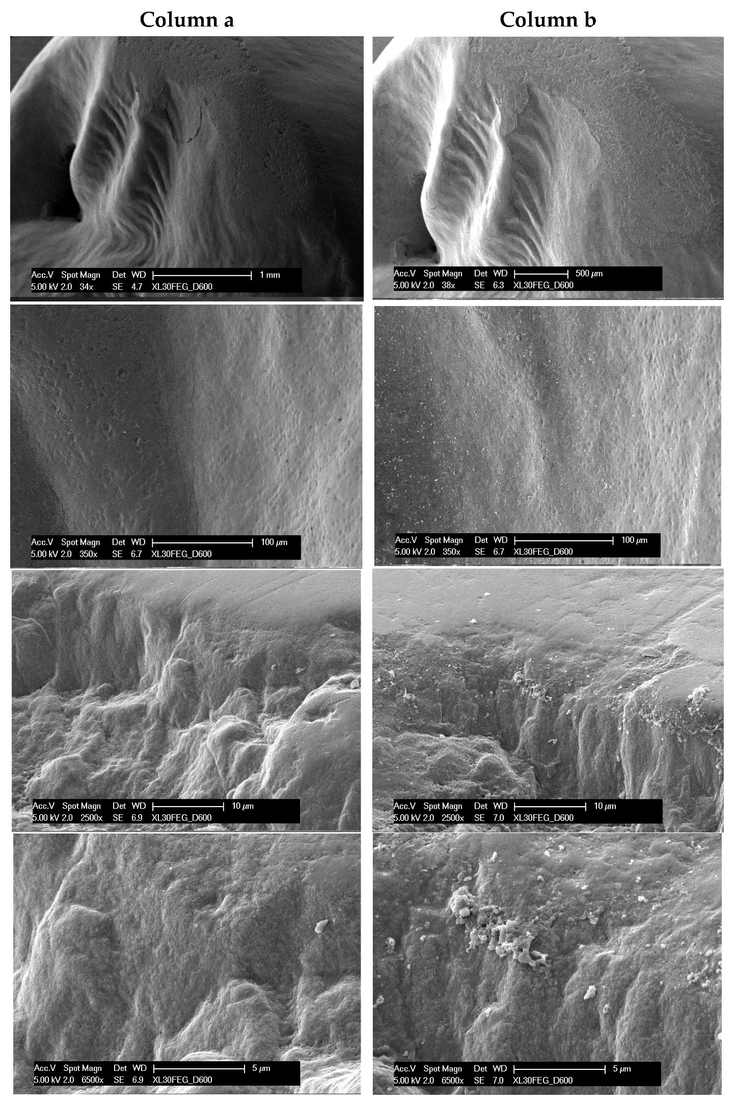 Applsci 15 00003 g001