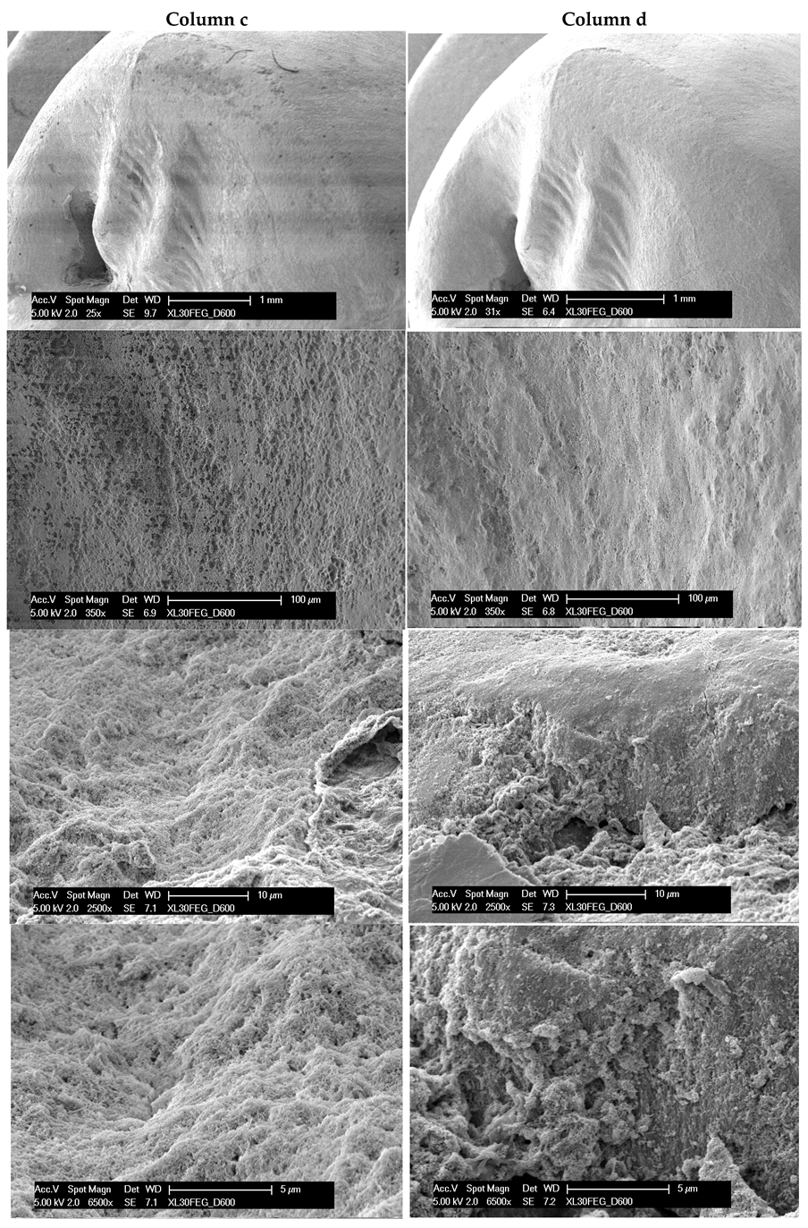 Applsci 15 00003 g002