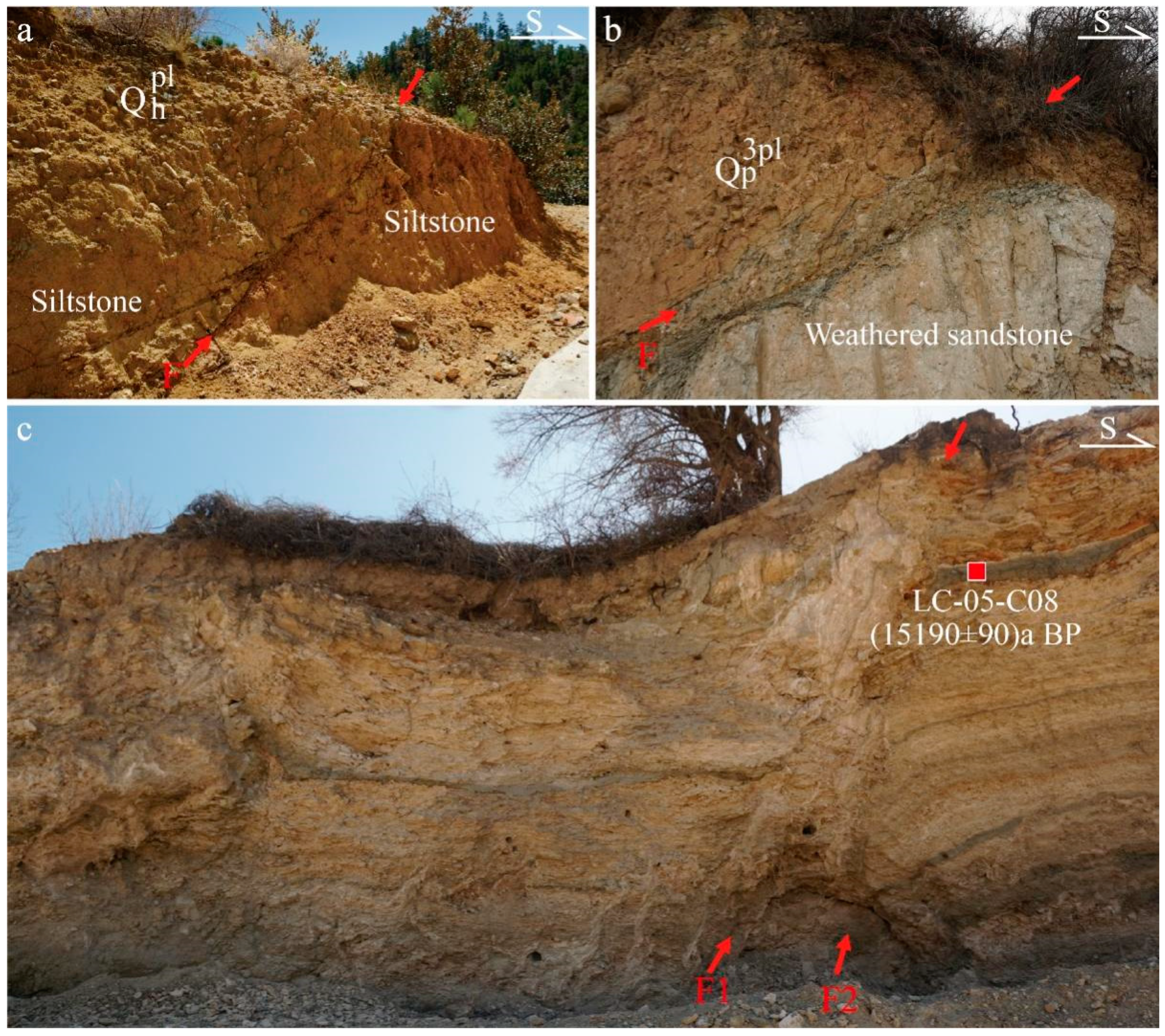 Applsci 15 00009 g005