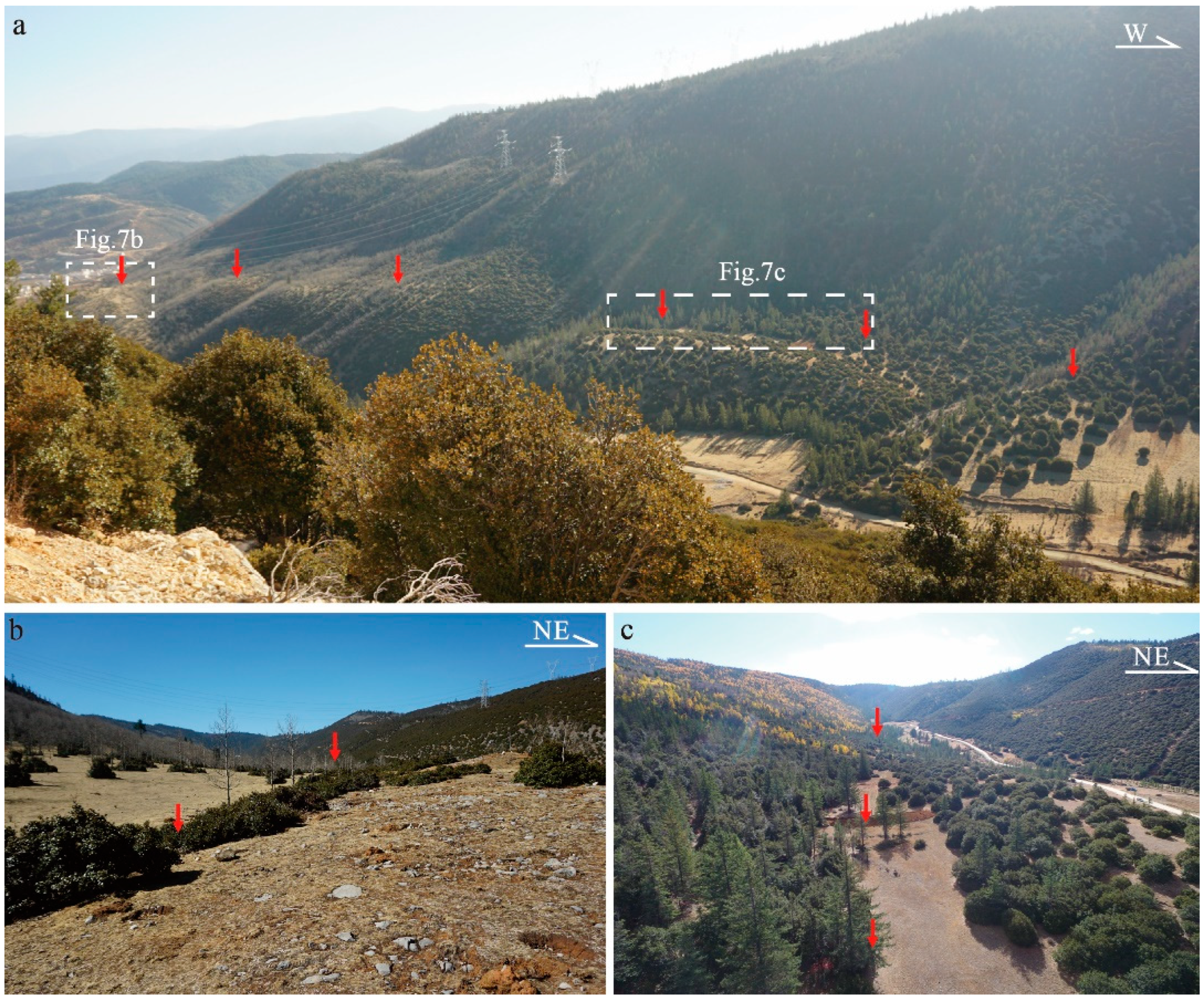 Applsci 15 00009 g007