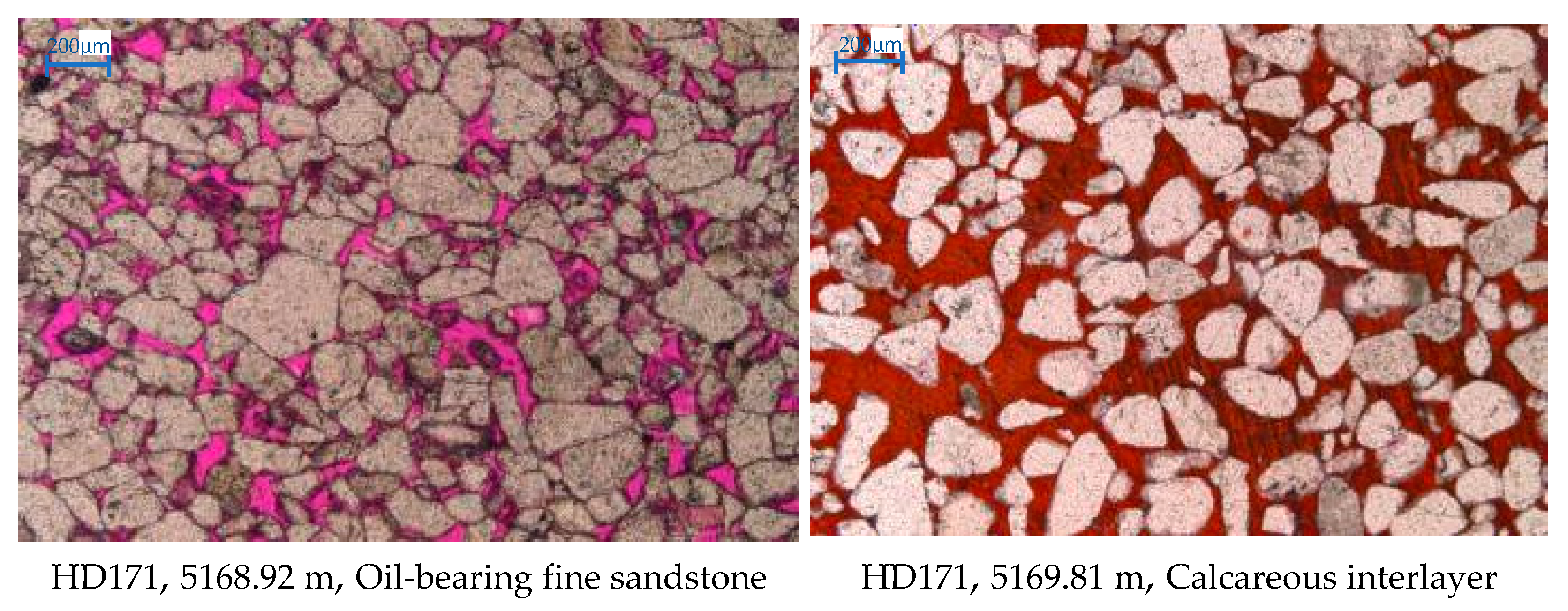 Applsci 15 00017 g004