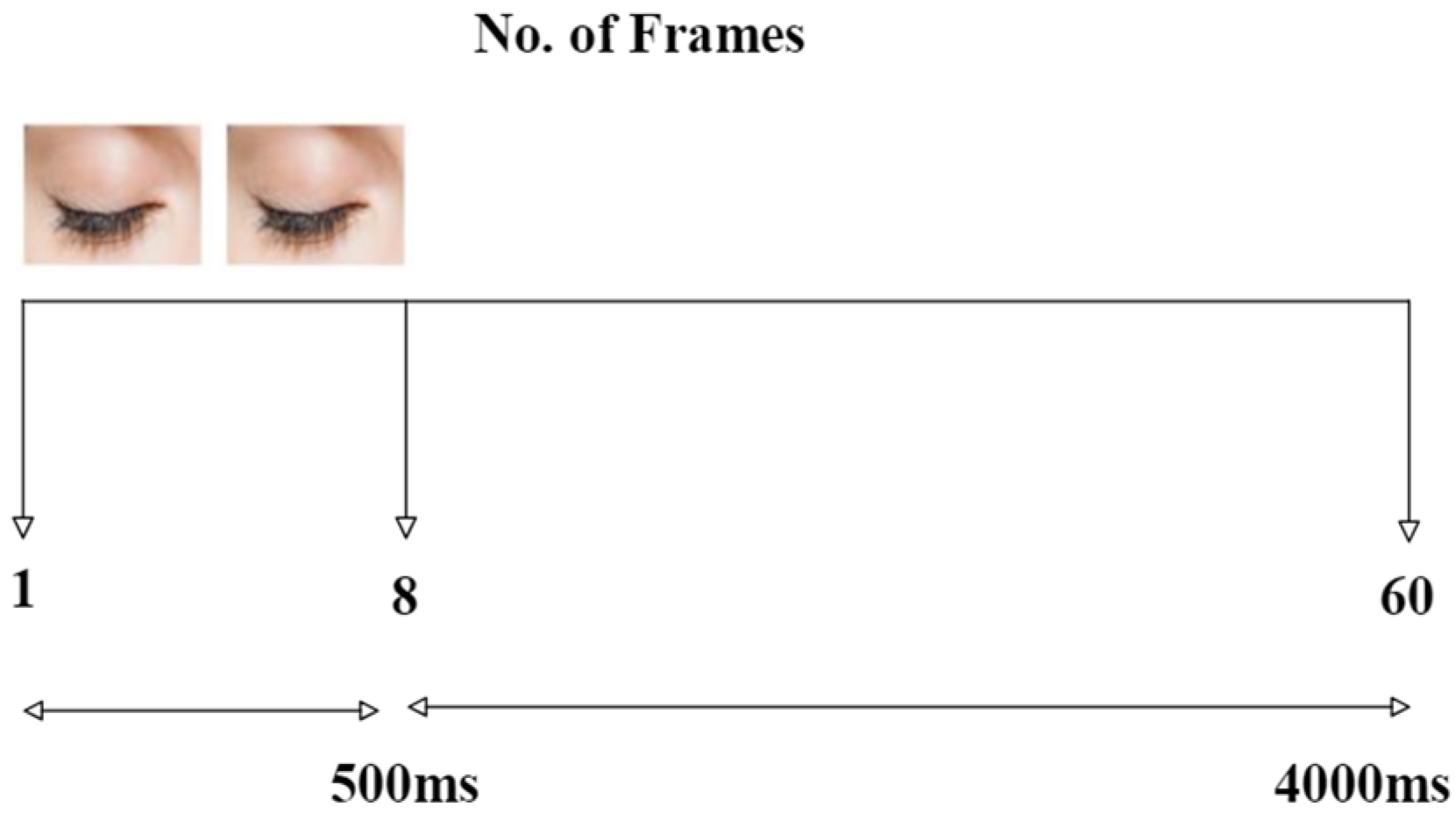 Applsci 15 00020 g011