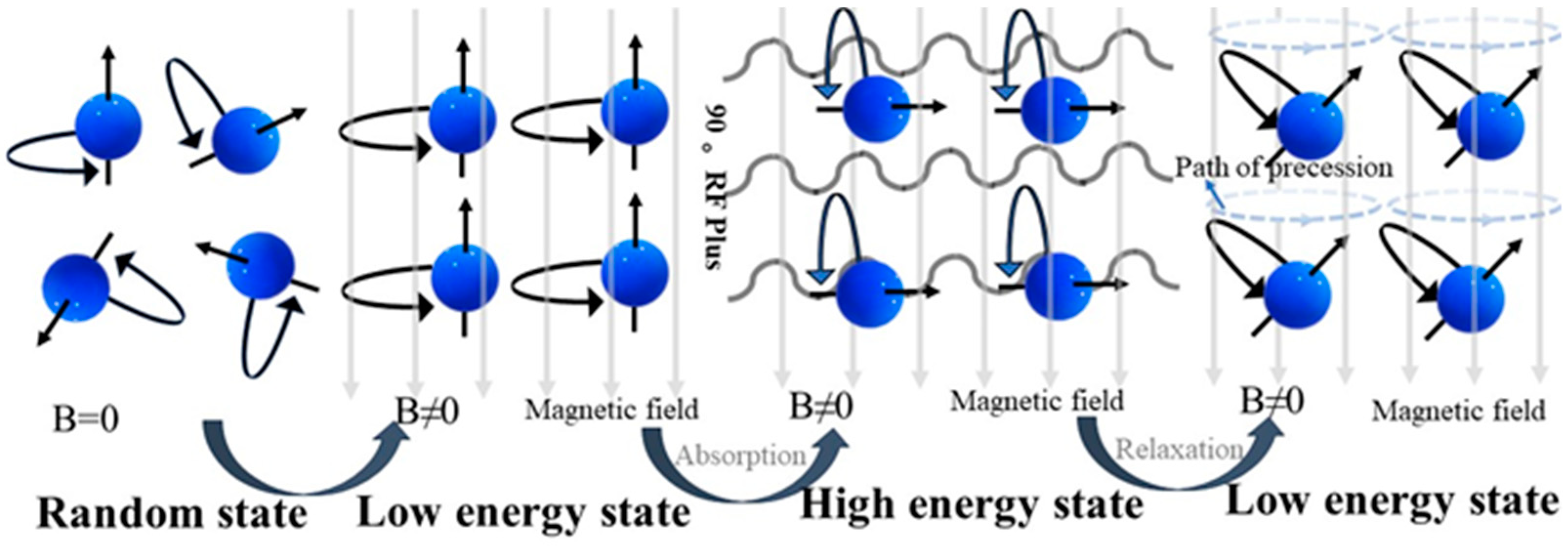 Applsci 15 00031 g004